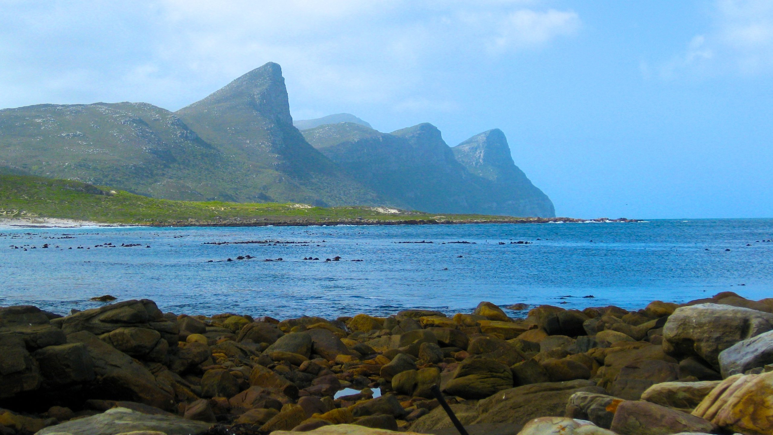 Cape of Good Hope Tours Now