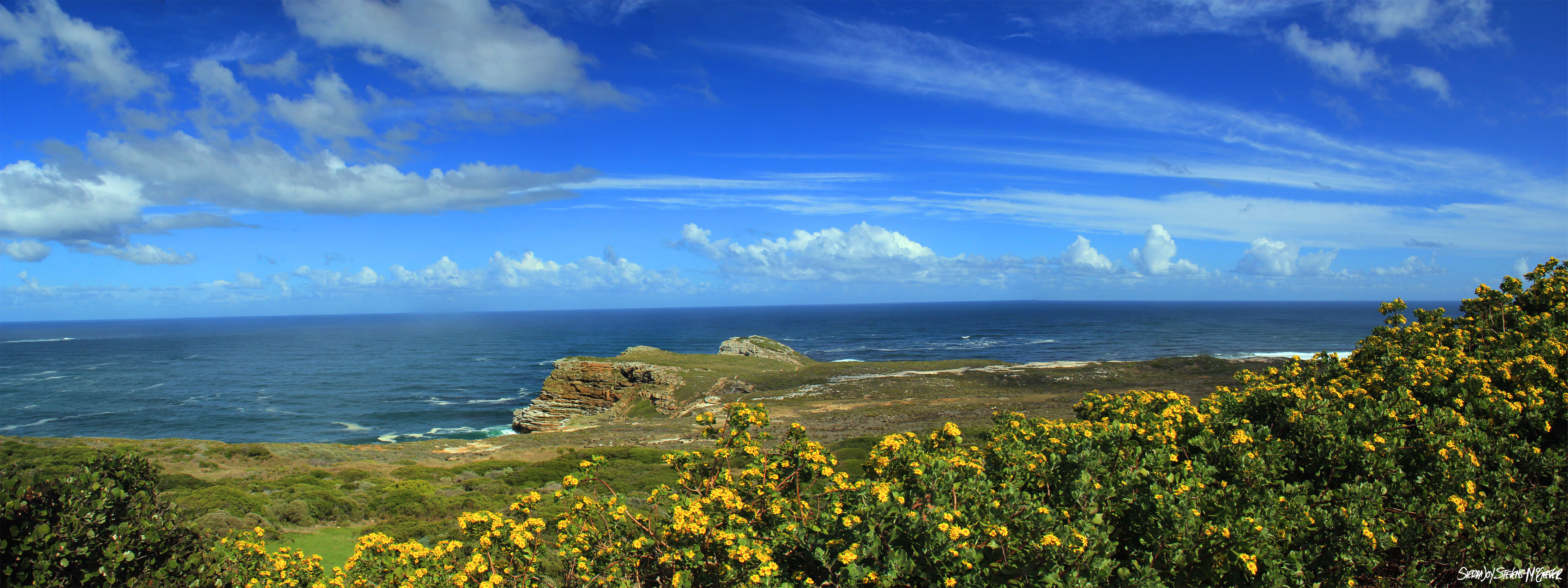 Ostriches on the Beach? Must be in Cape