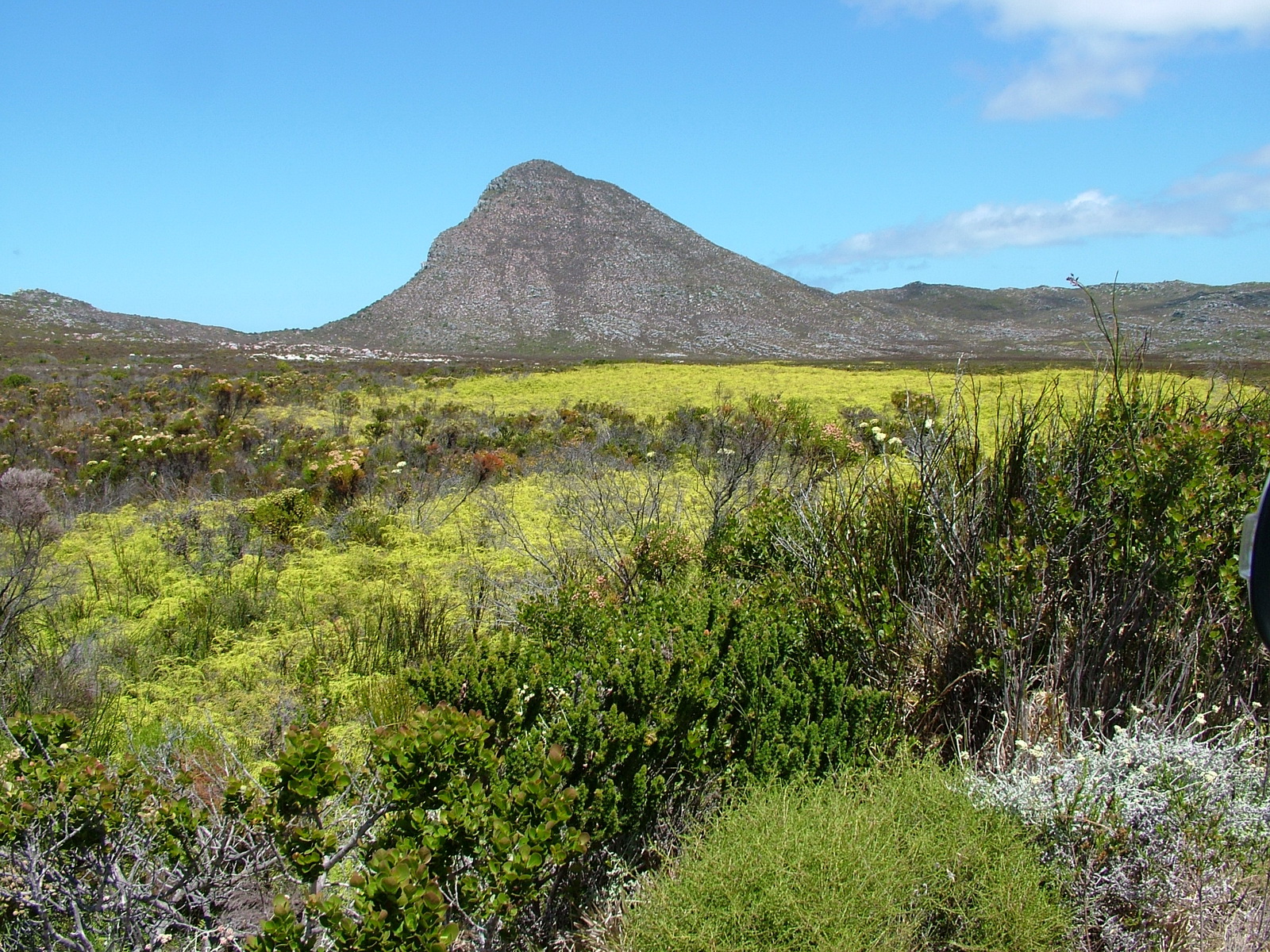 The Legendary Cape of Good Hope, South