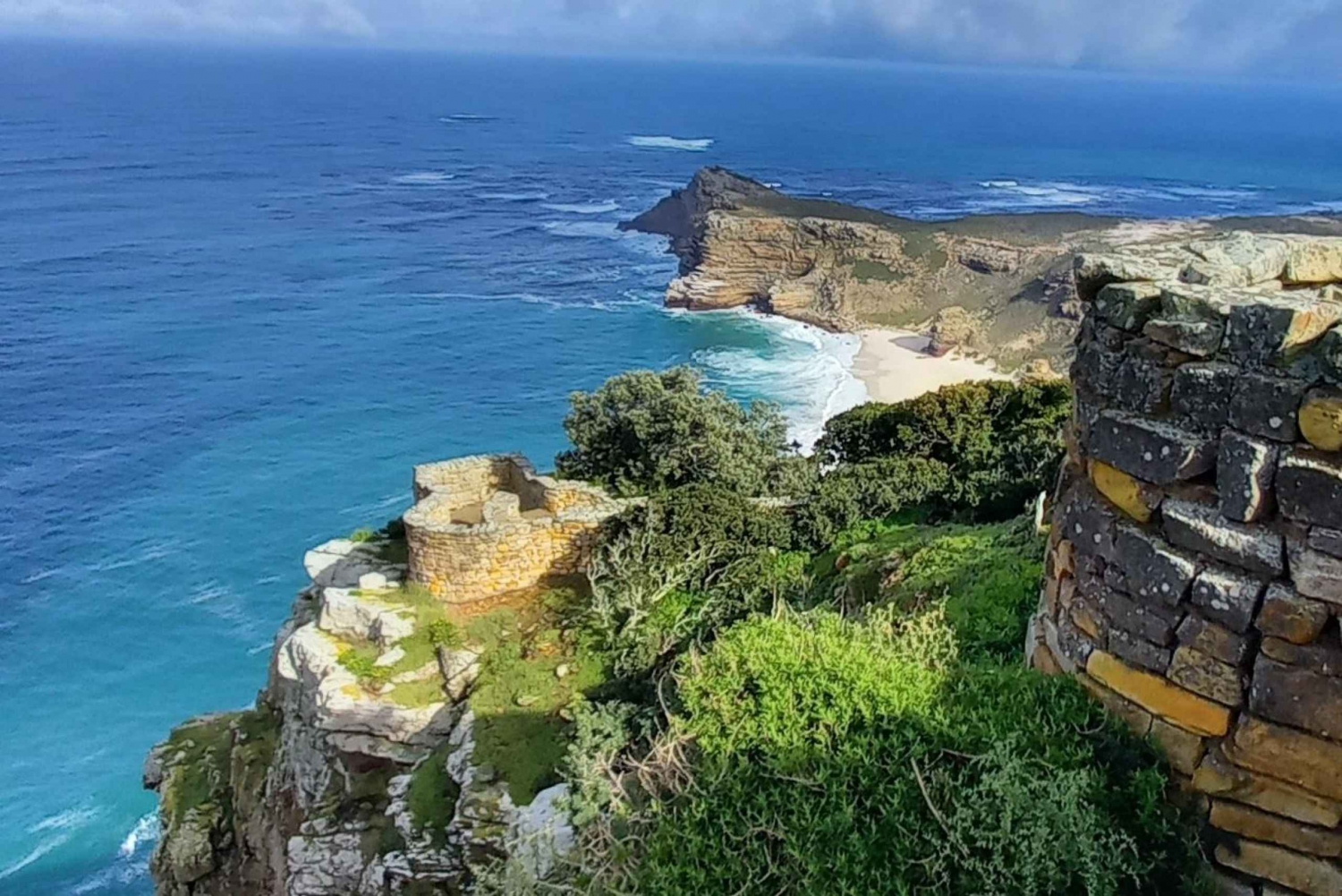 Cape Point Cape of Good Hope, Penguins