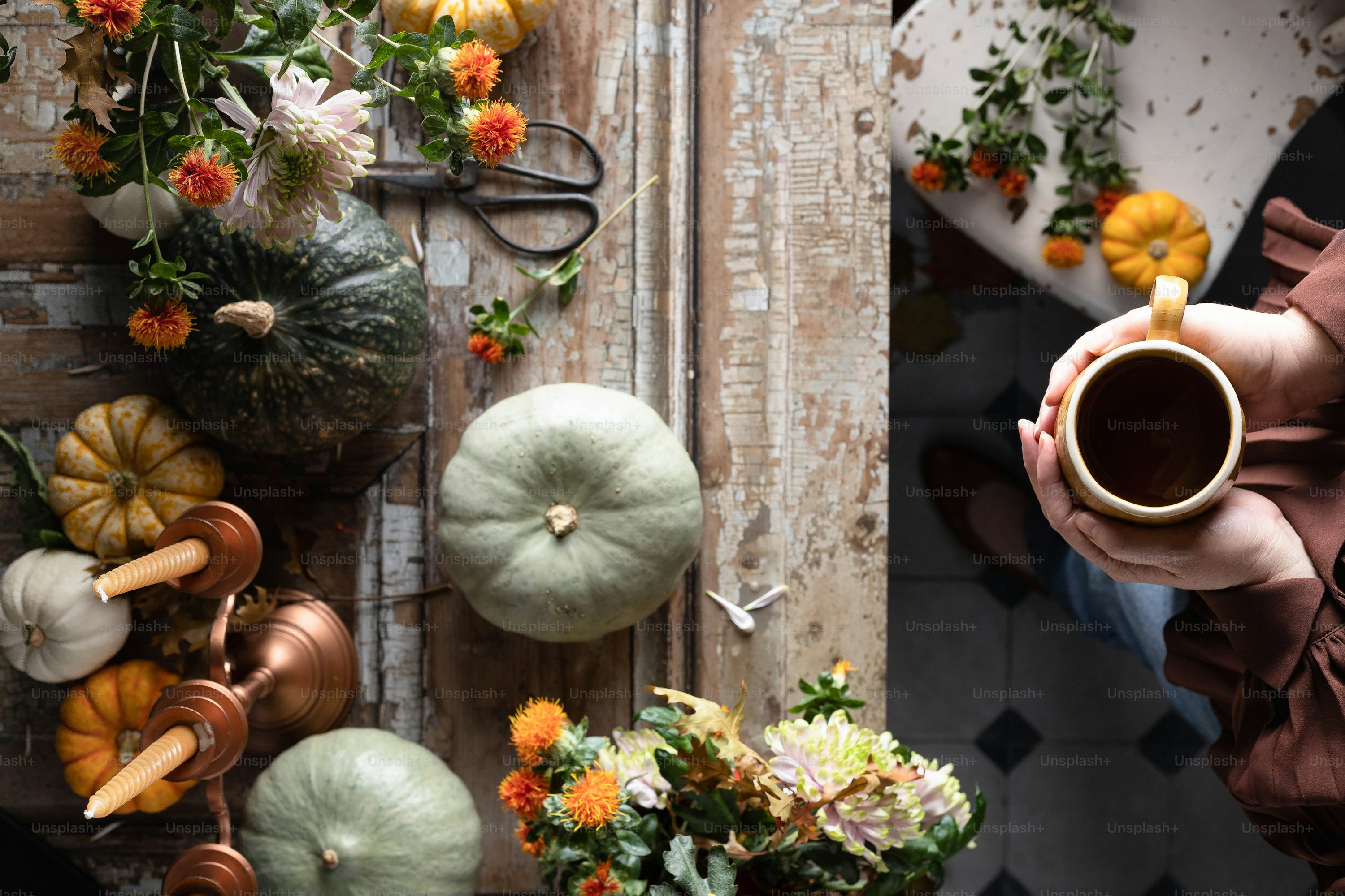 Autumn Aesthetic Picture. Download