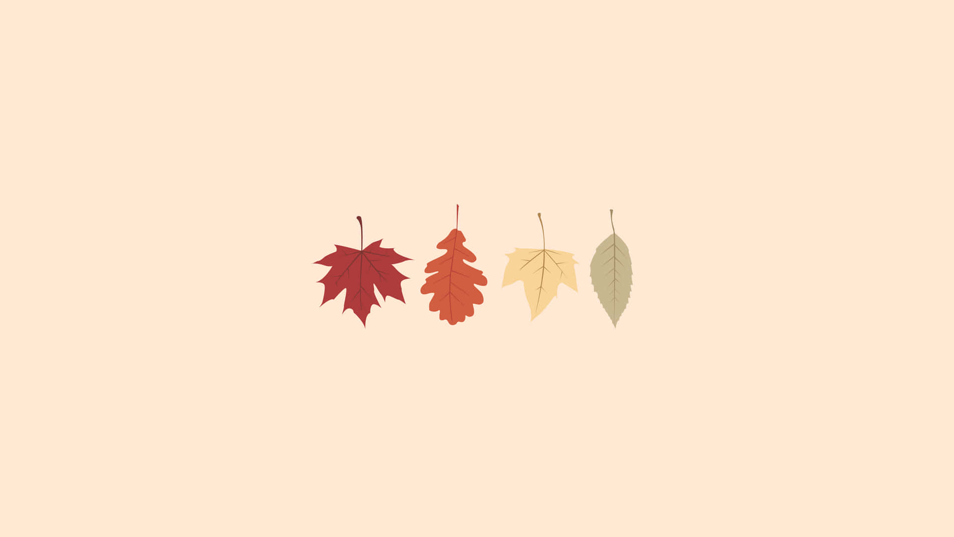 Download Minimalist Fall Aesthetic Macbook Leaves Wallpaper