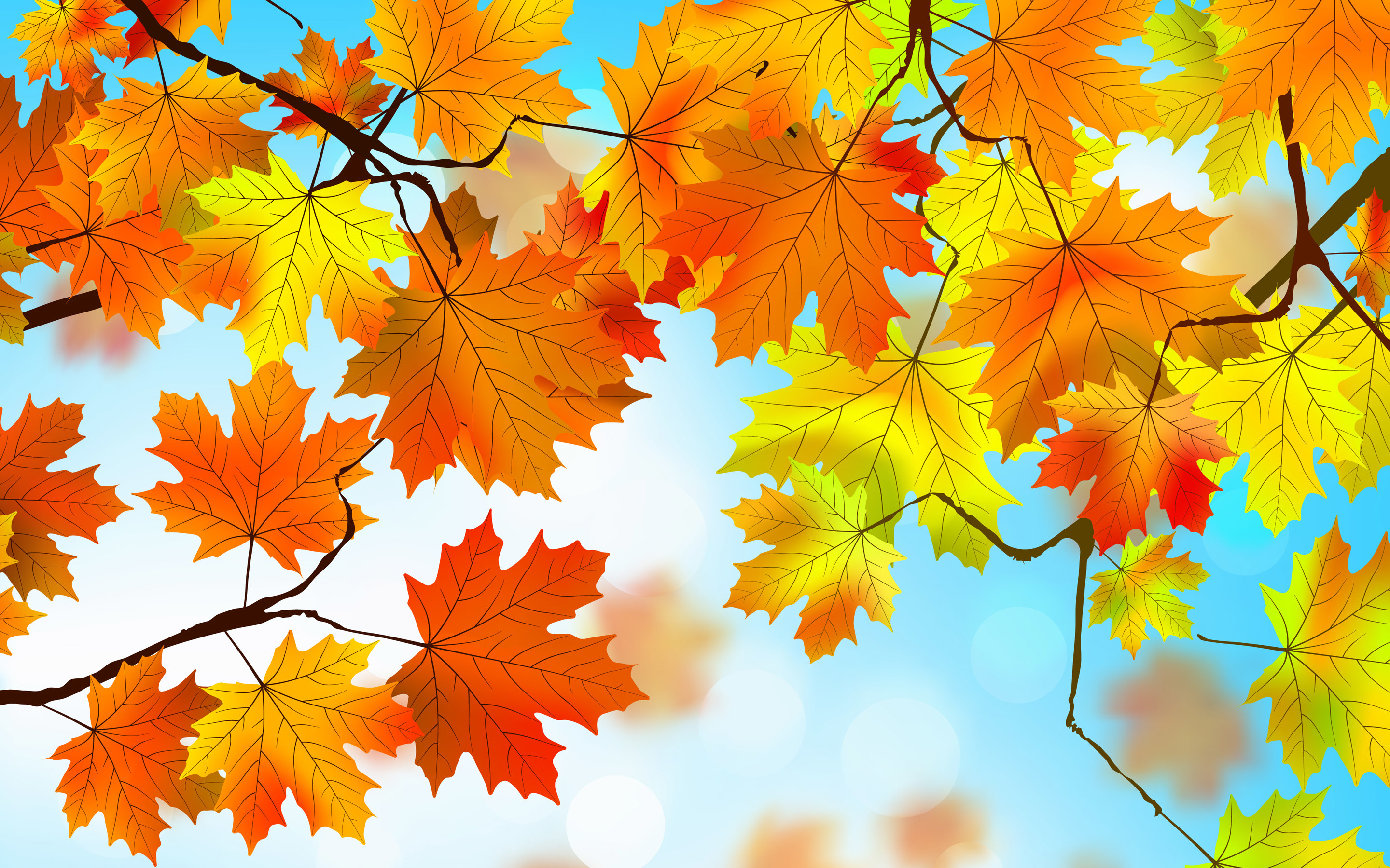 Autumn Leaves Wallpaper 2880x1800 55987
