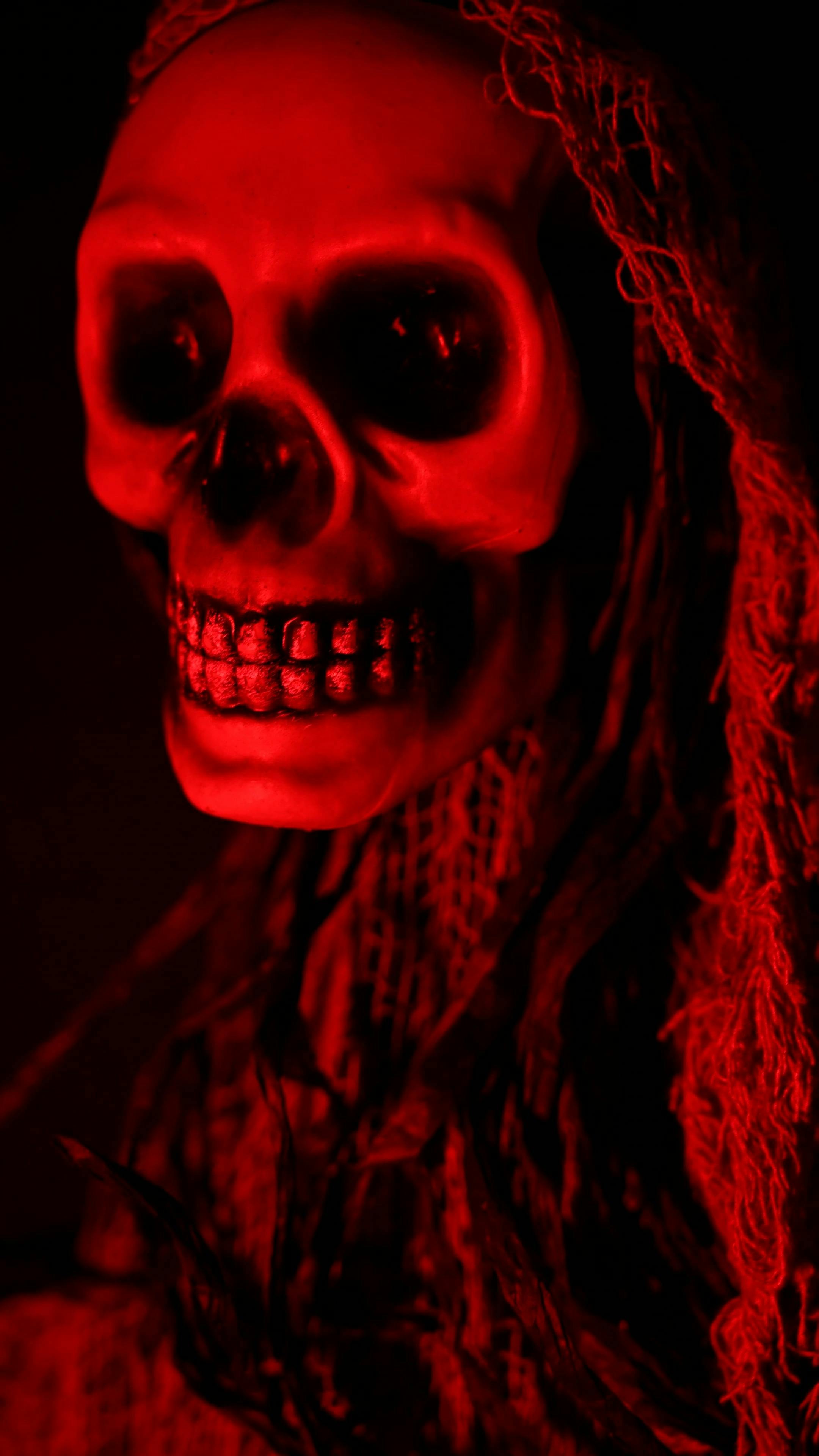 Scary Halloween Skeleton Free Stock Video Footage, Royalty Free 4K & HD Video Clip