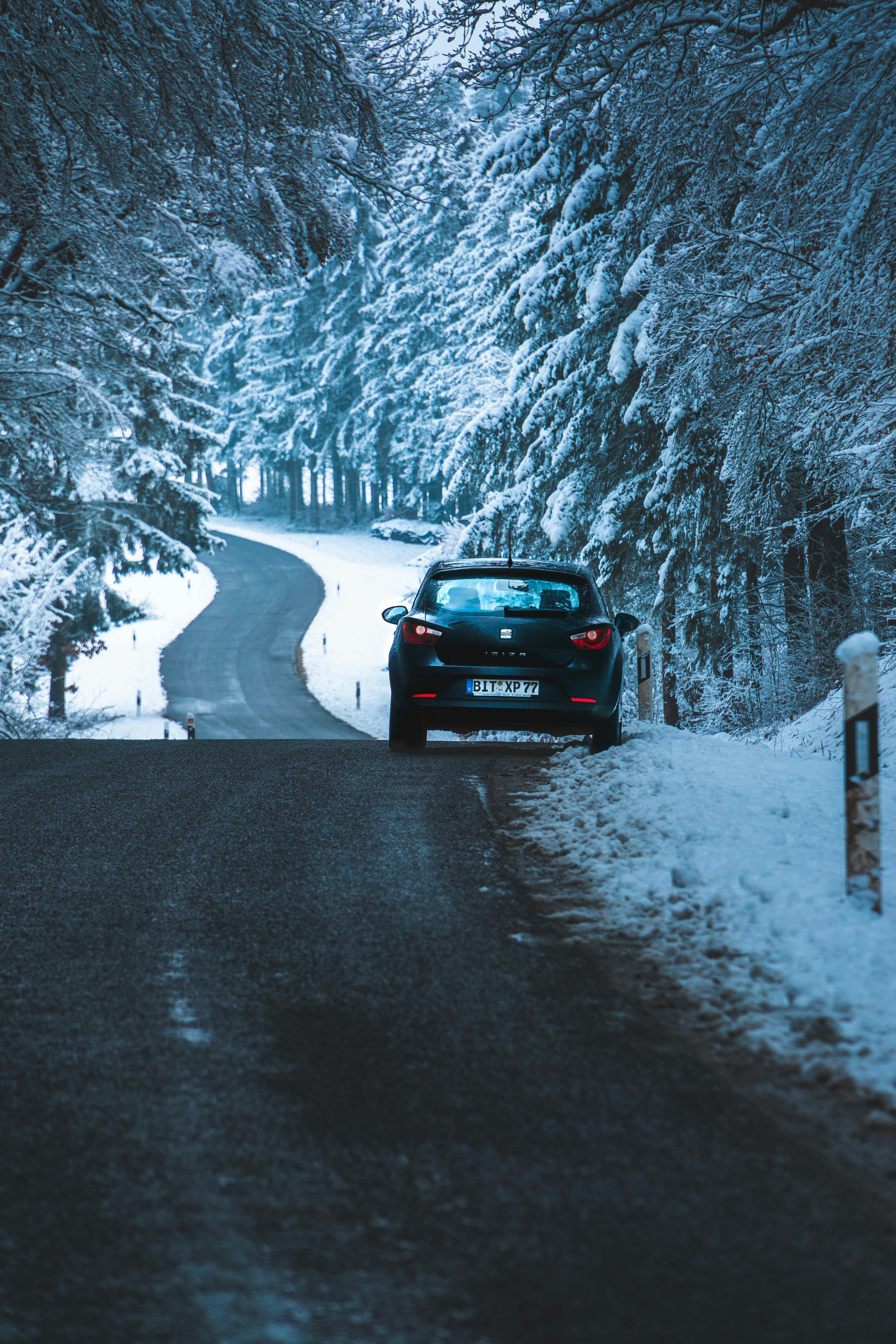 Parked Car Near the Snow Covered Trees