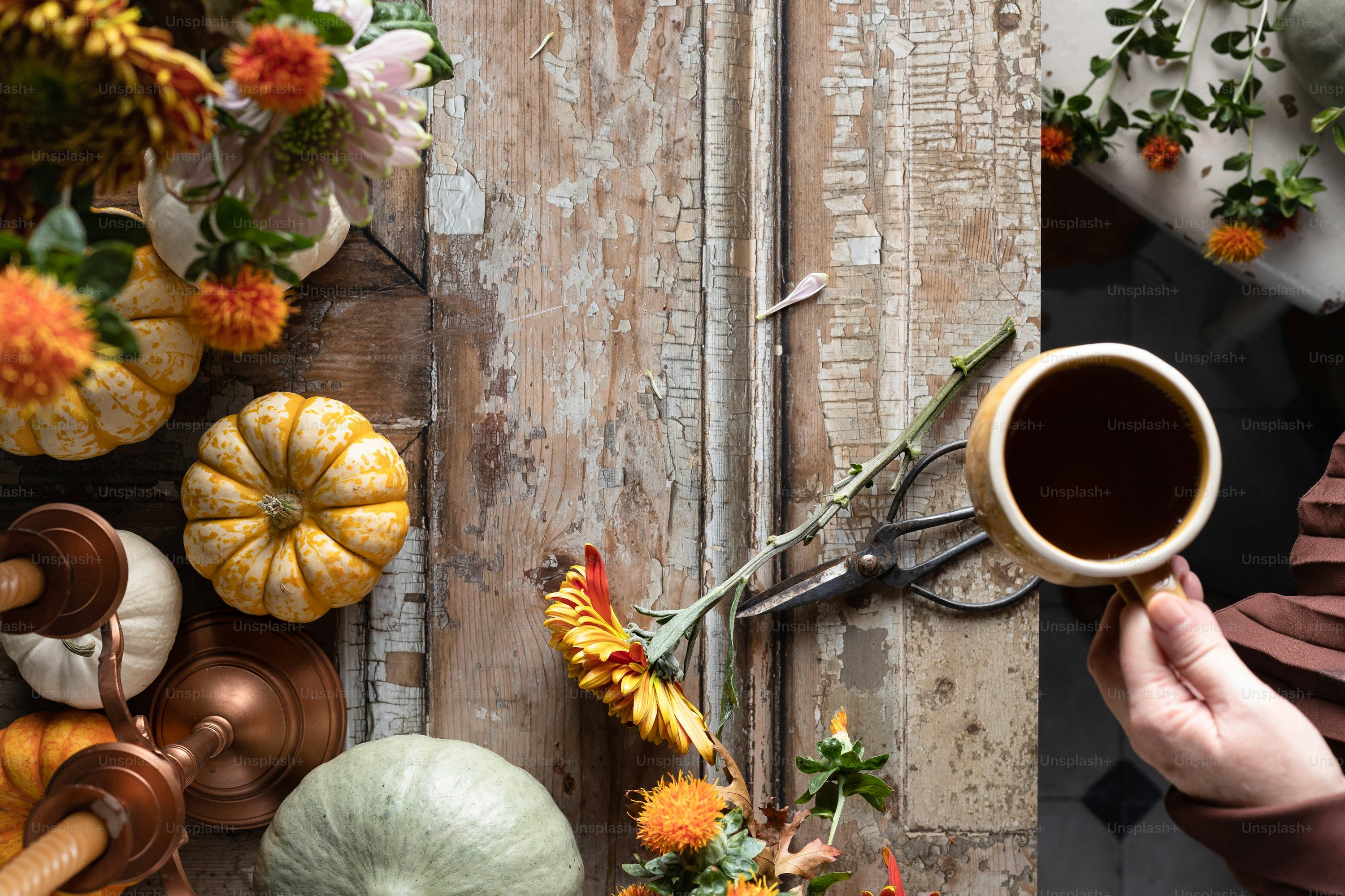 Autumn Coffee Picture. Download Free