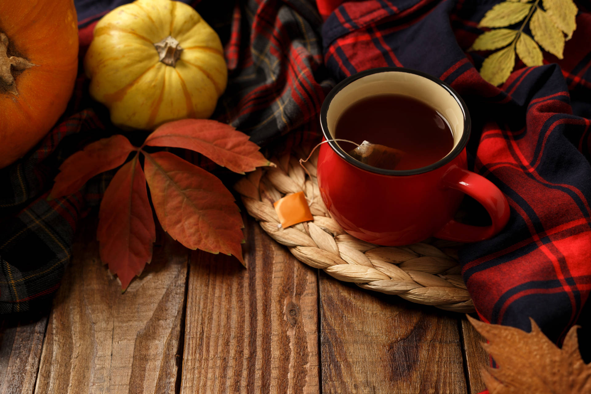 Cozy Autumn Wallpaper
