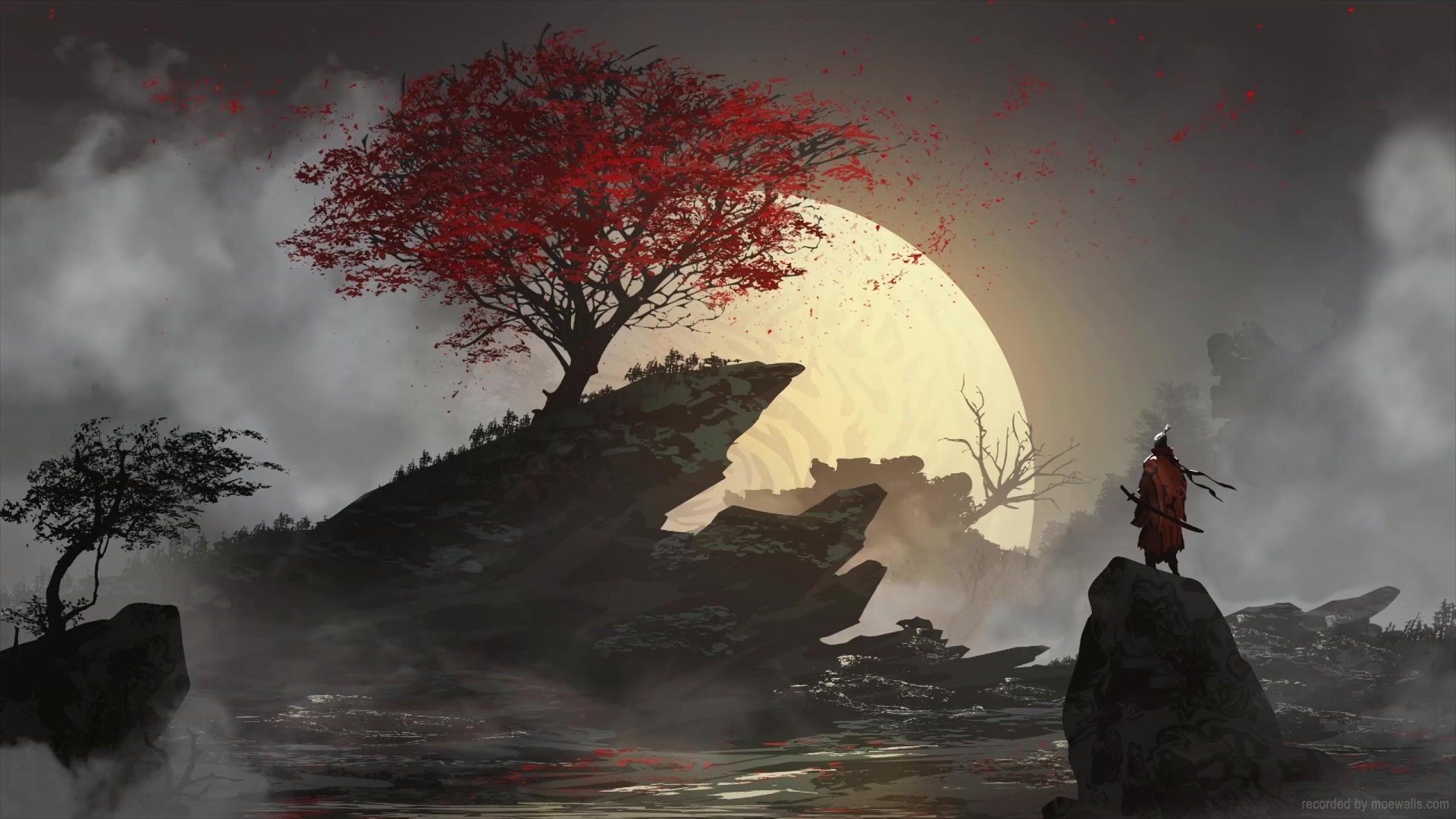 Lonely Samurai And Autumn Tree