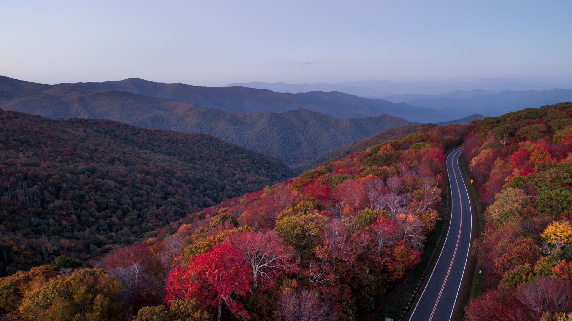 Road Through Autumn Forest