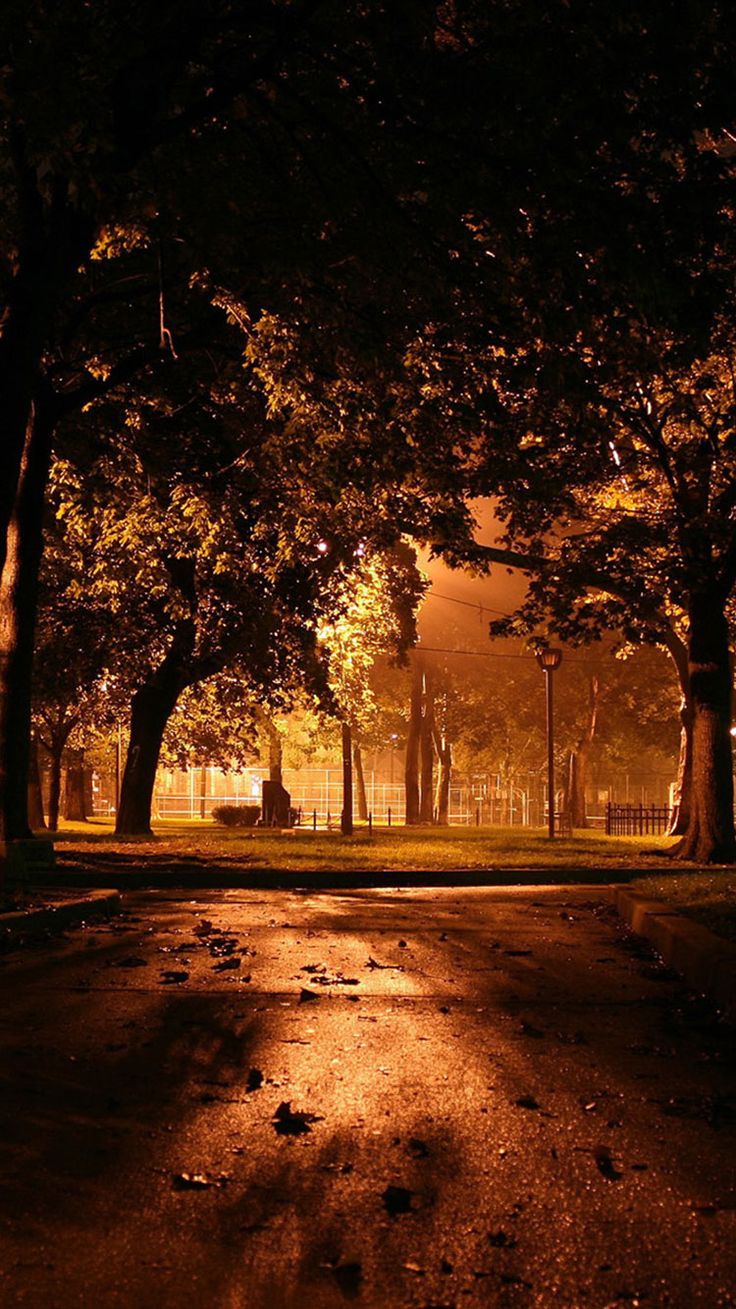 Free Amazing Fall Wallpaper For iPhone