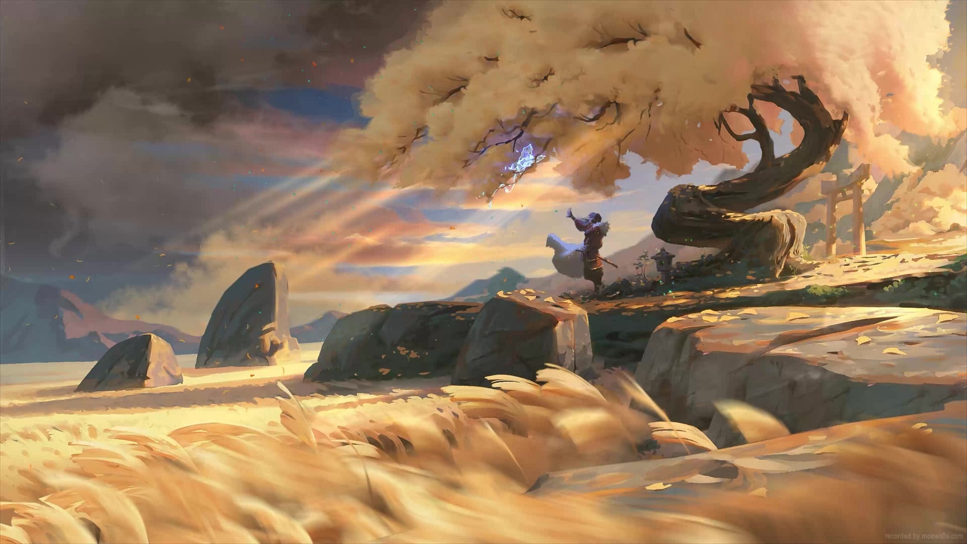 The Autumn Samurai Live Wallpaper