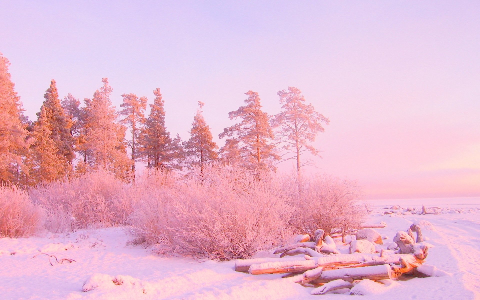 Download Nature Winter HD Wallpaperx1200