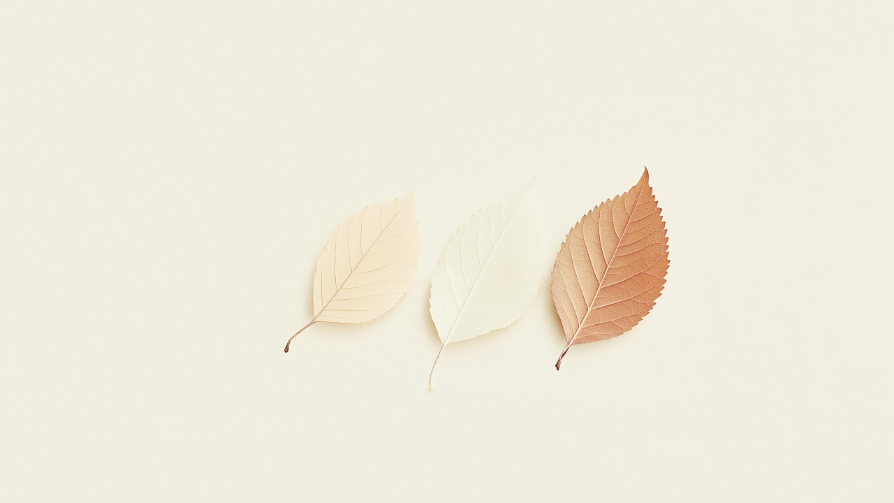 Leaf Wallpaper 4K, Seasonal
