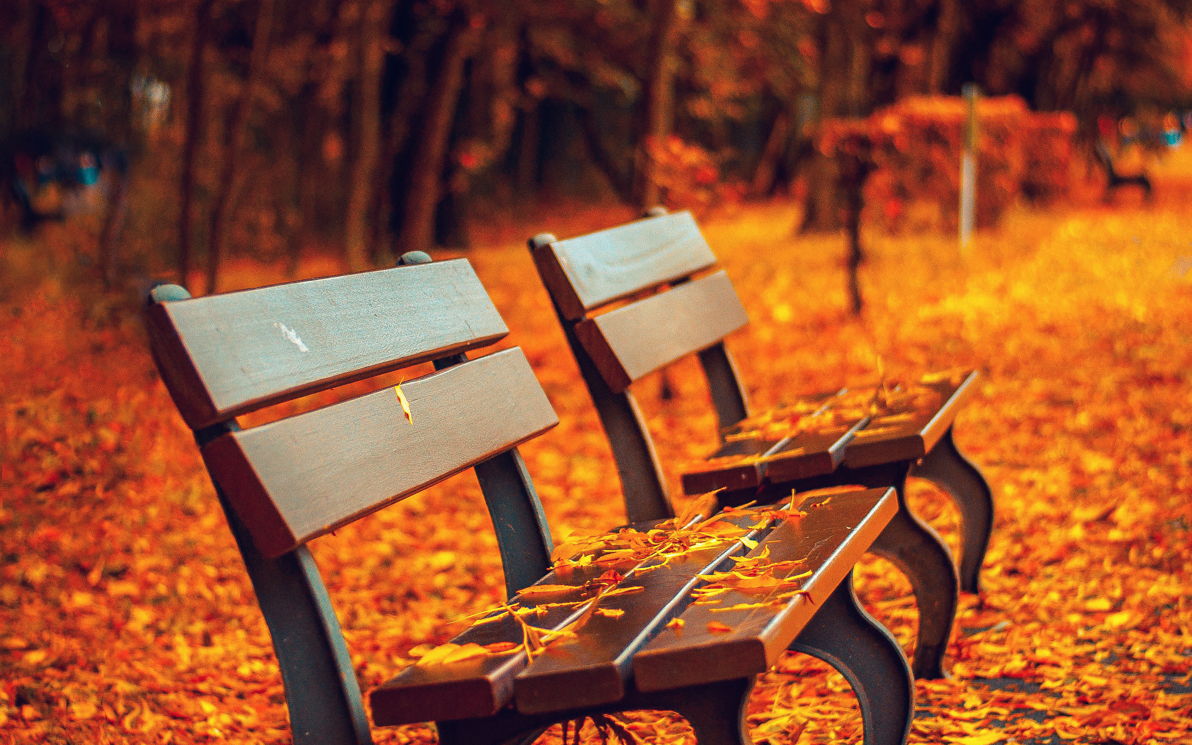 wallpaper for desktop, laptop. mp71