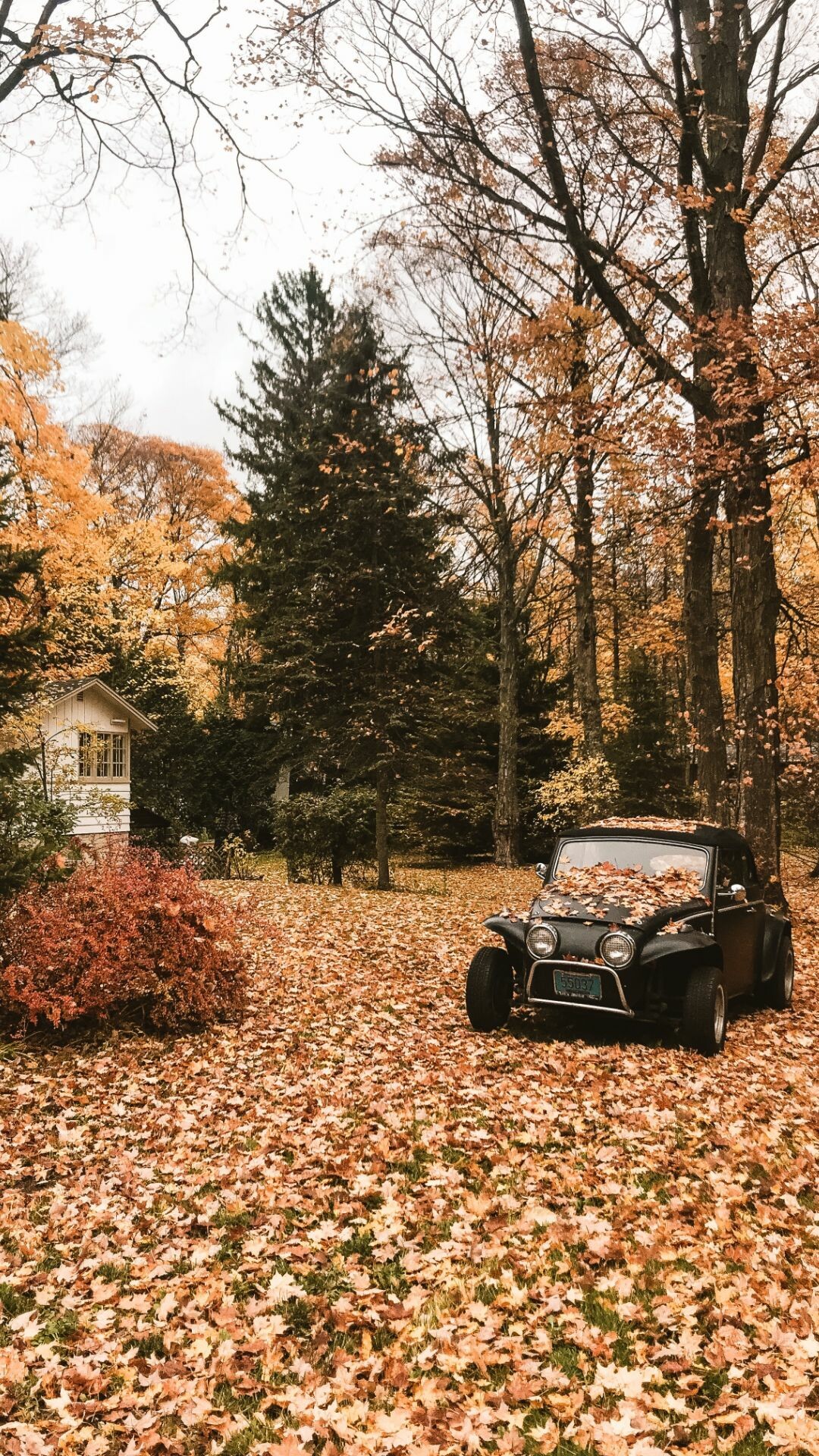 Autumn Wallpaper
