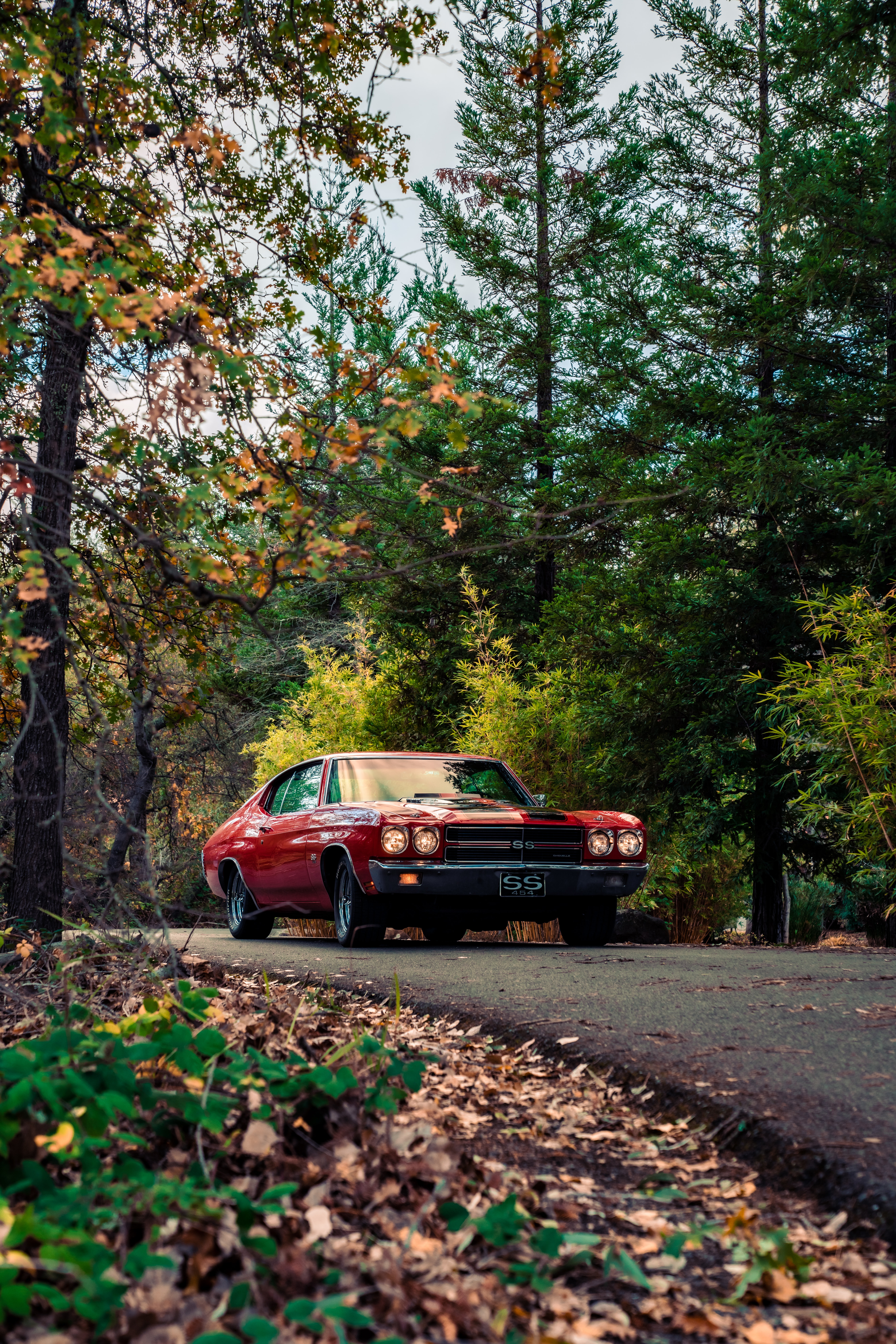 Download Vintage wallpaper