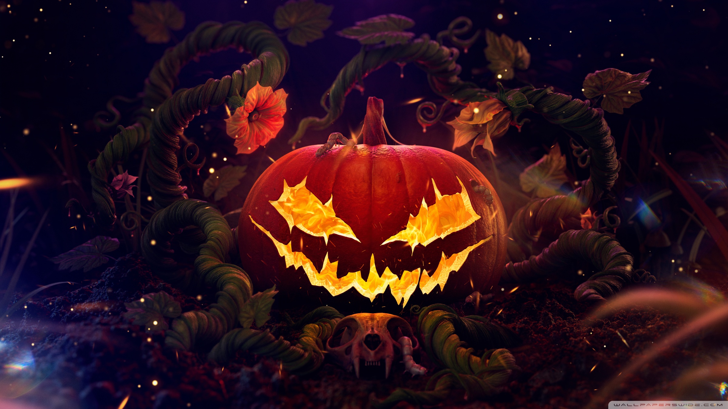 Halloween, Spooky Jack O Lantern 2024