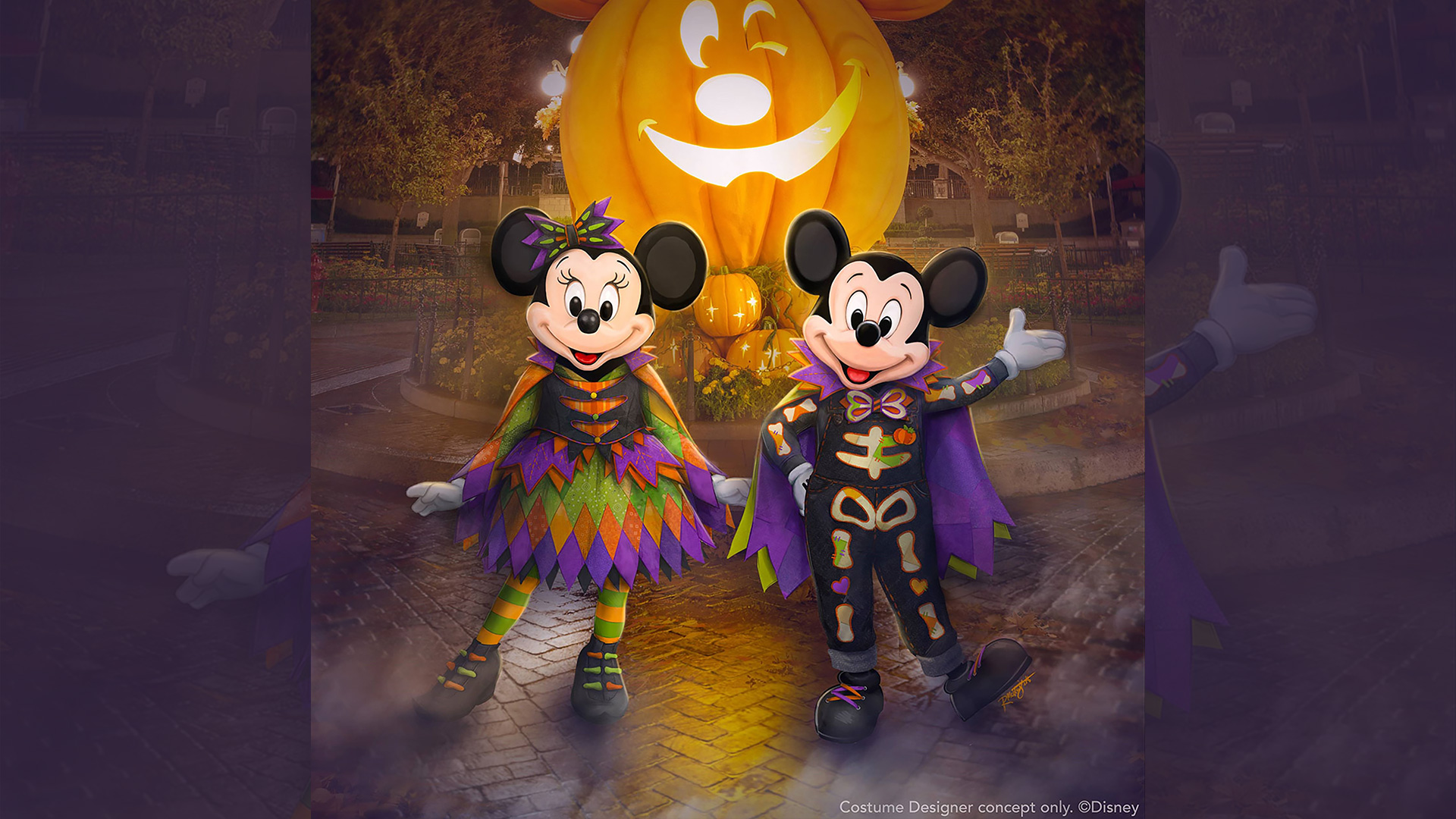 Mickey and Minnie 2024 outfits