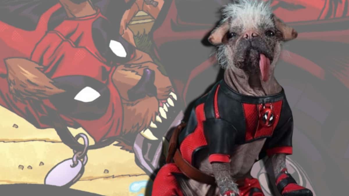 Deadpool And His Dog Wallpapers Wallpaper Cave
