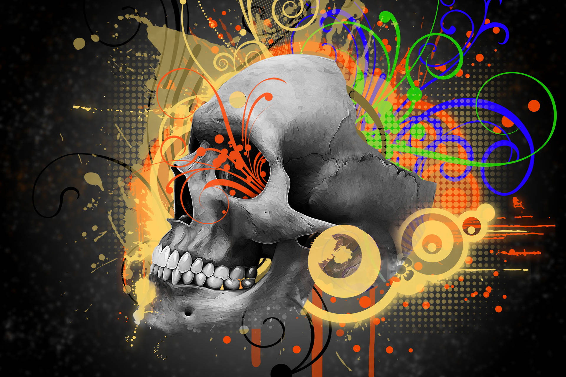 Skull HD Wallpaper