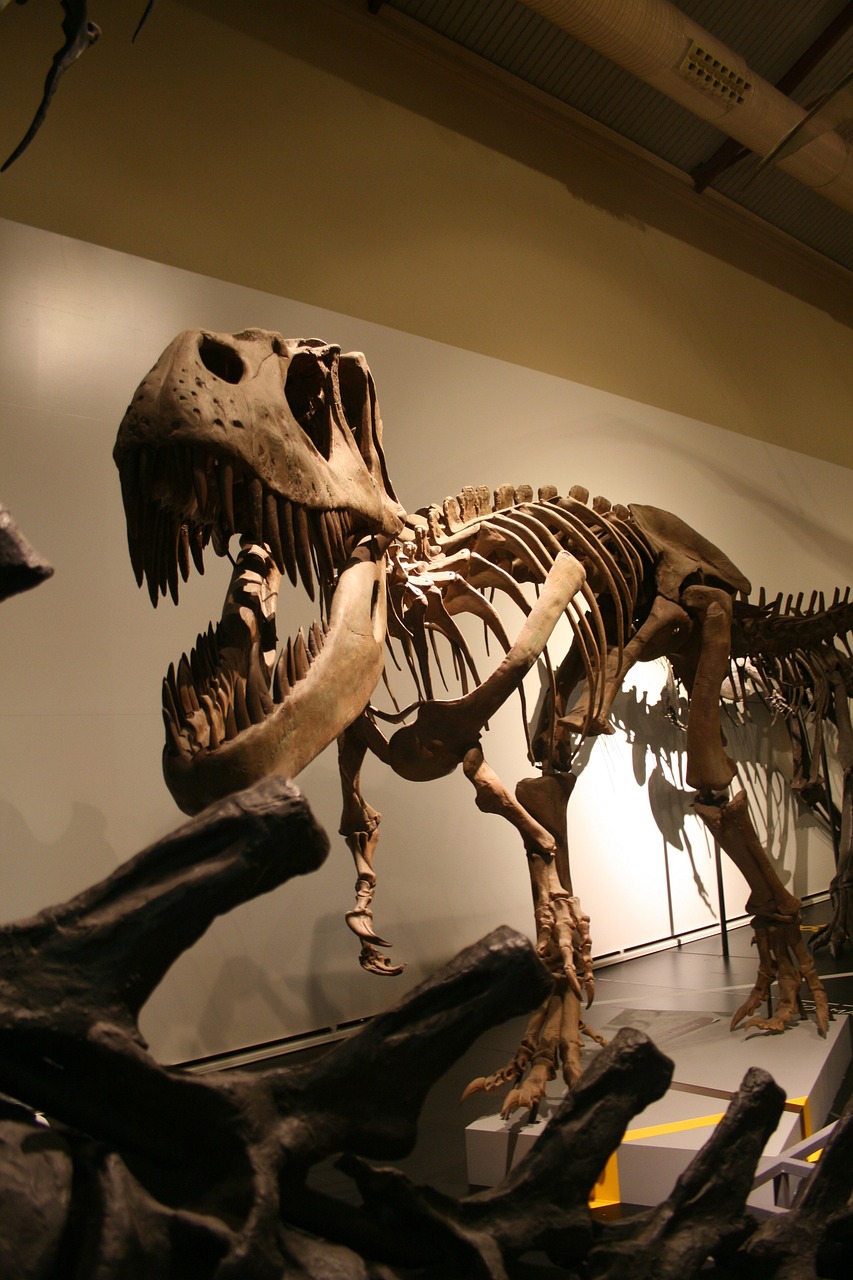 Tyrannosaurus Skeleton Prehistoric
