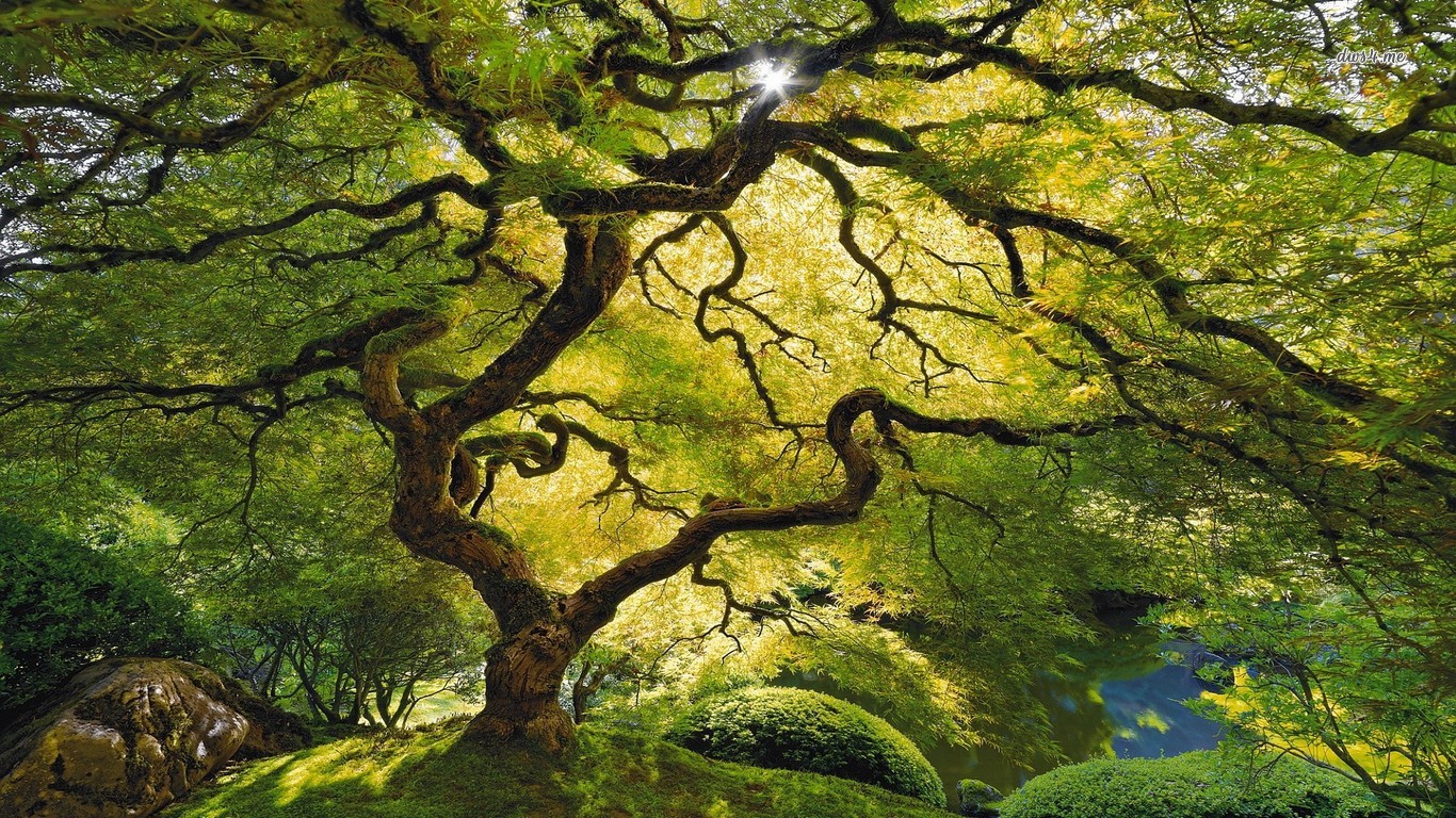 Inner Peace wallpaper for desktop