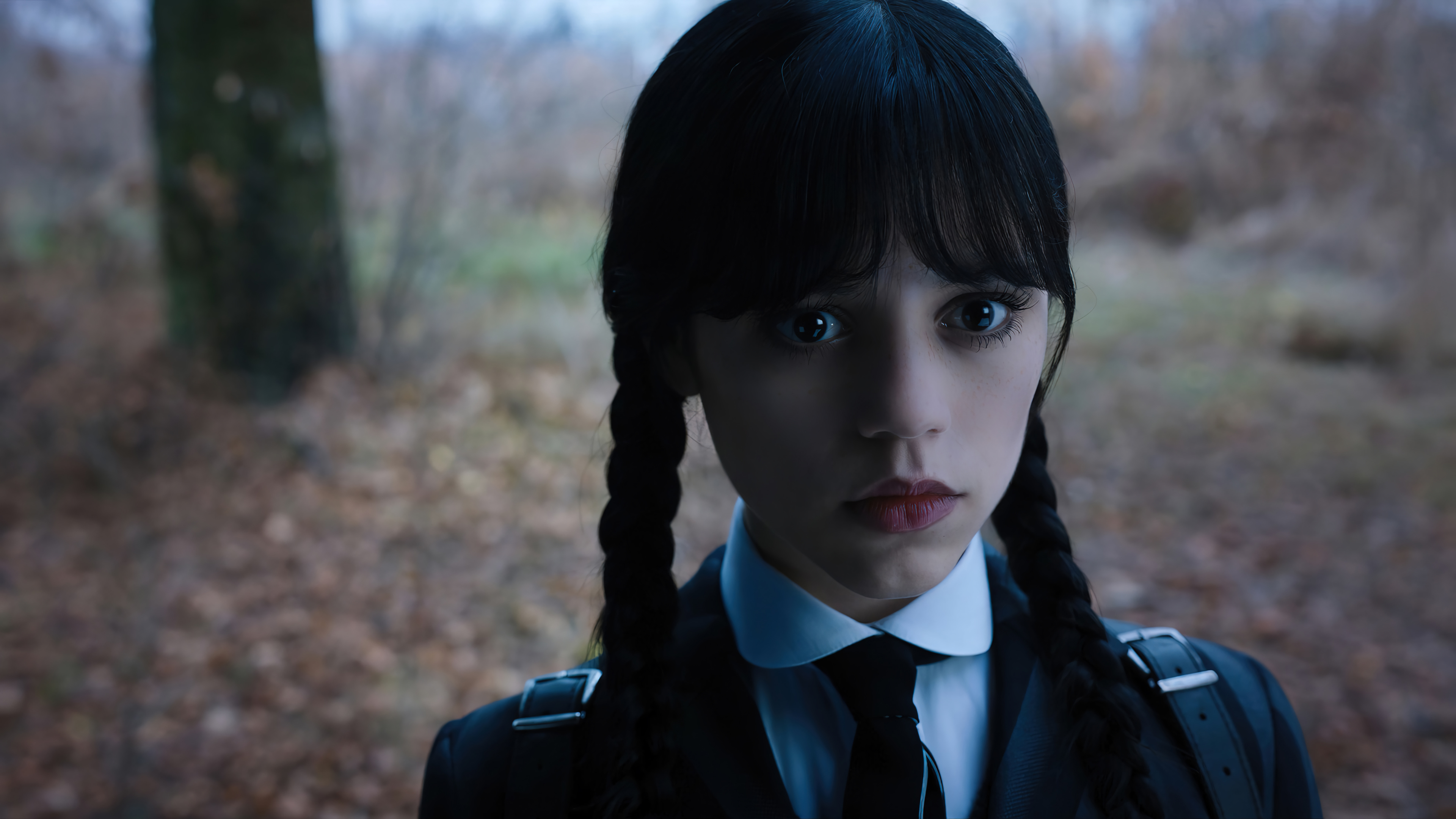 Wednesday Addams Jenna Ortega Series