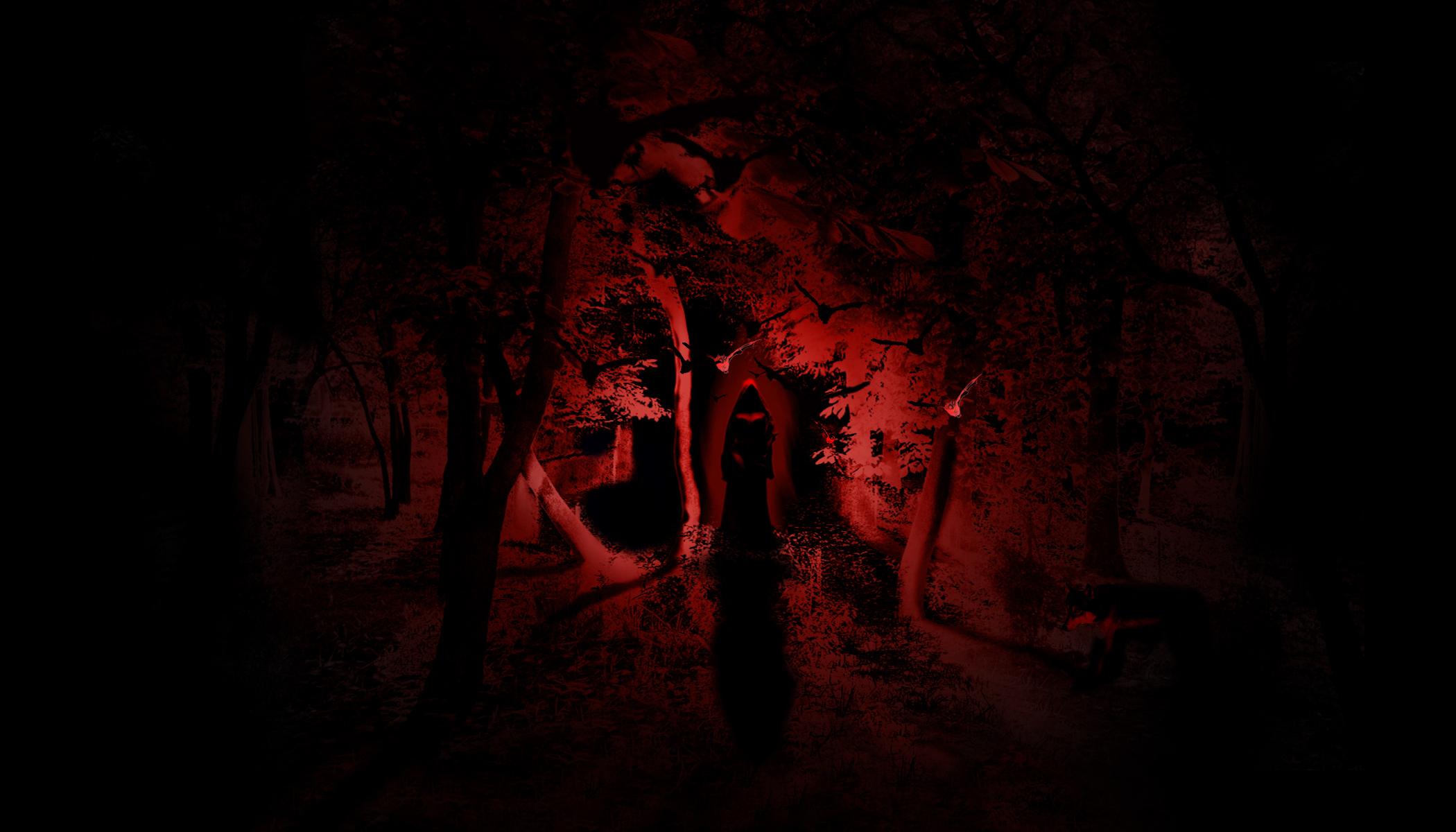 Wallpaper forest, light, night, horror