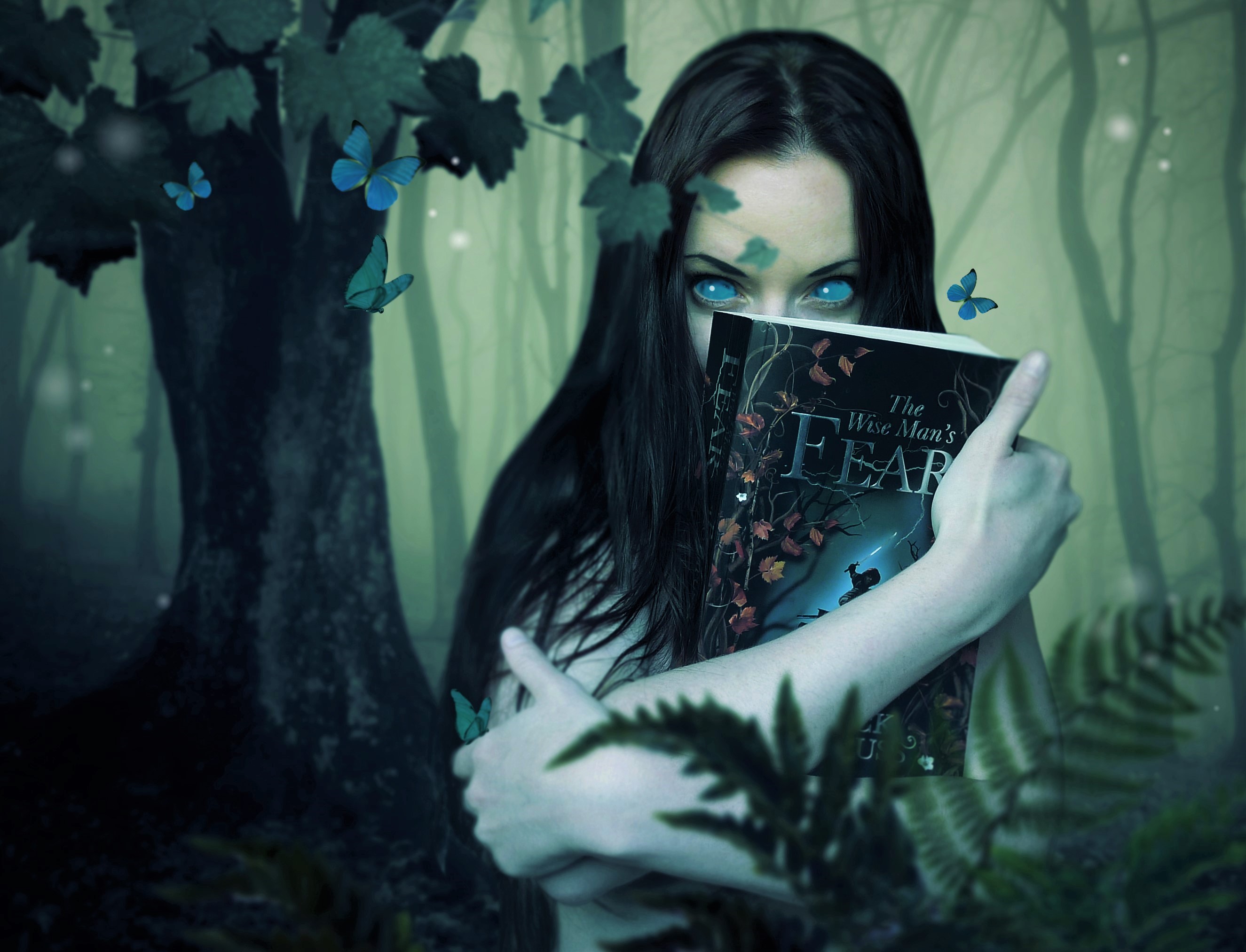 Fantasy, Butterfly, Book, Artistic