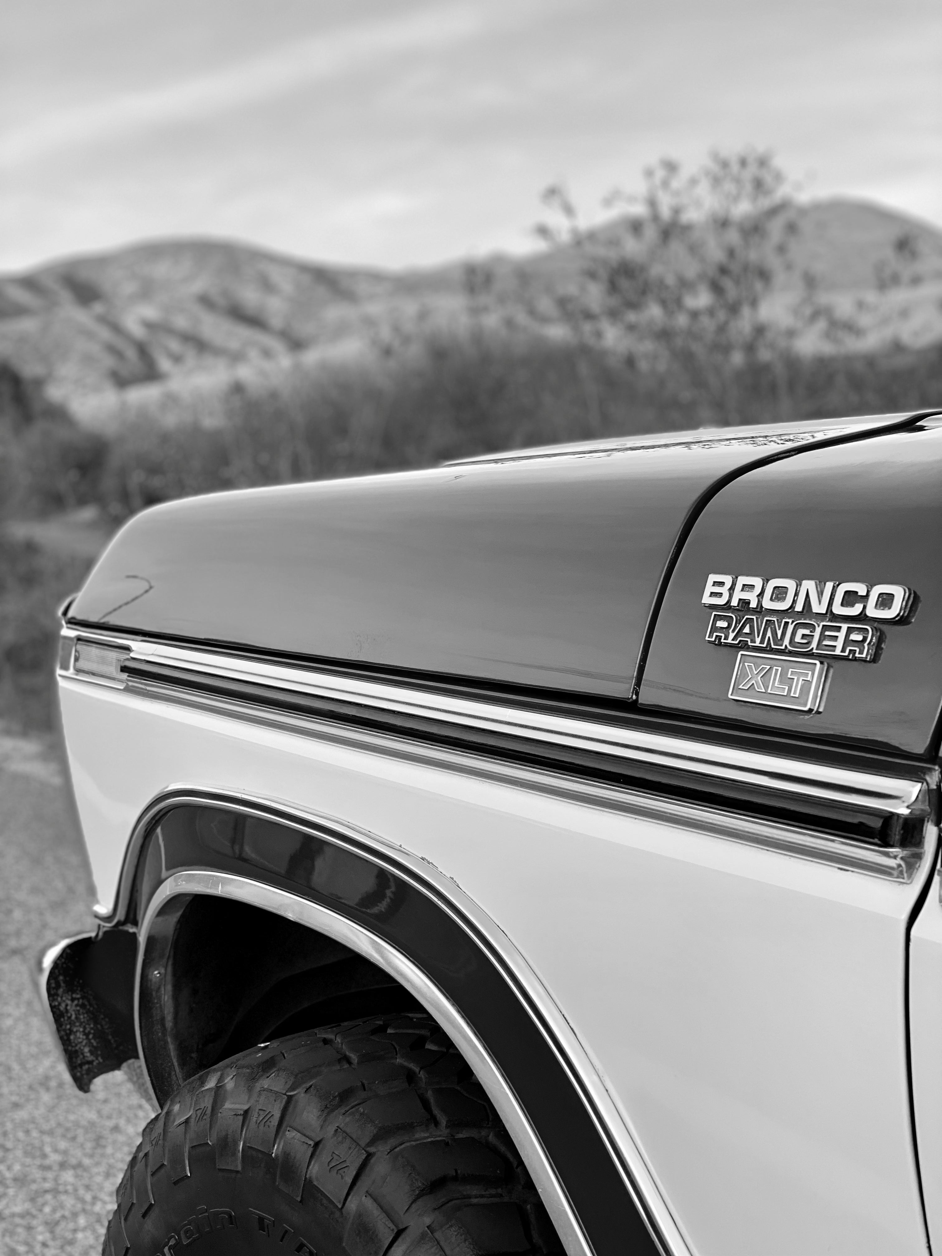 Ford Bronco FINE ART PRINT