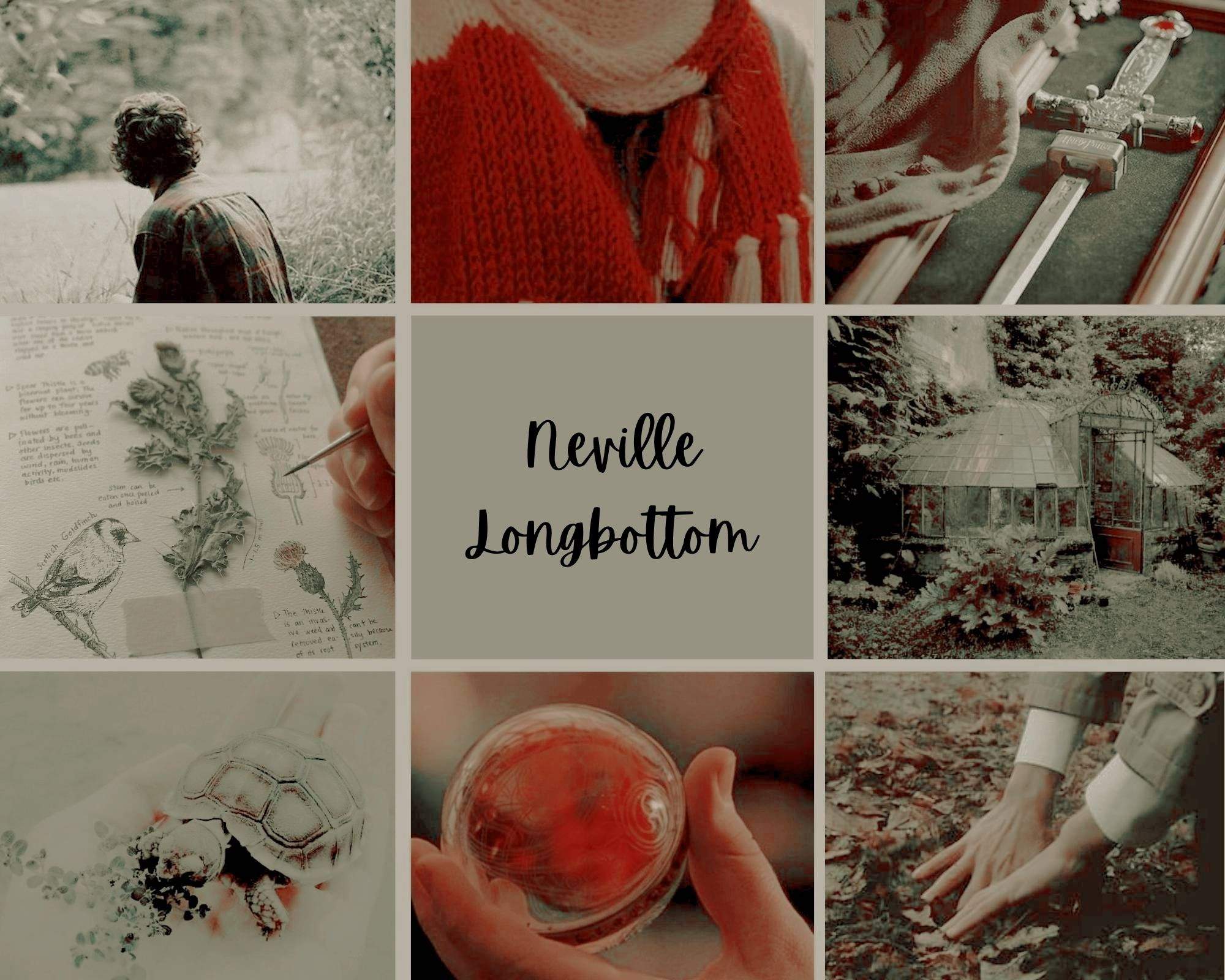 Neville Edit Set + Fred George Edit Set