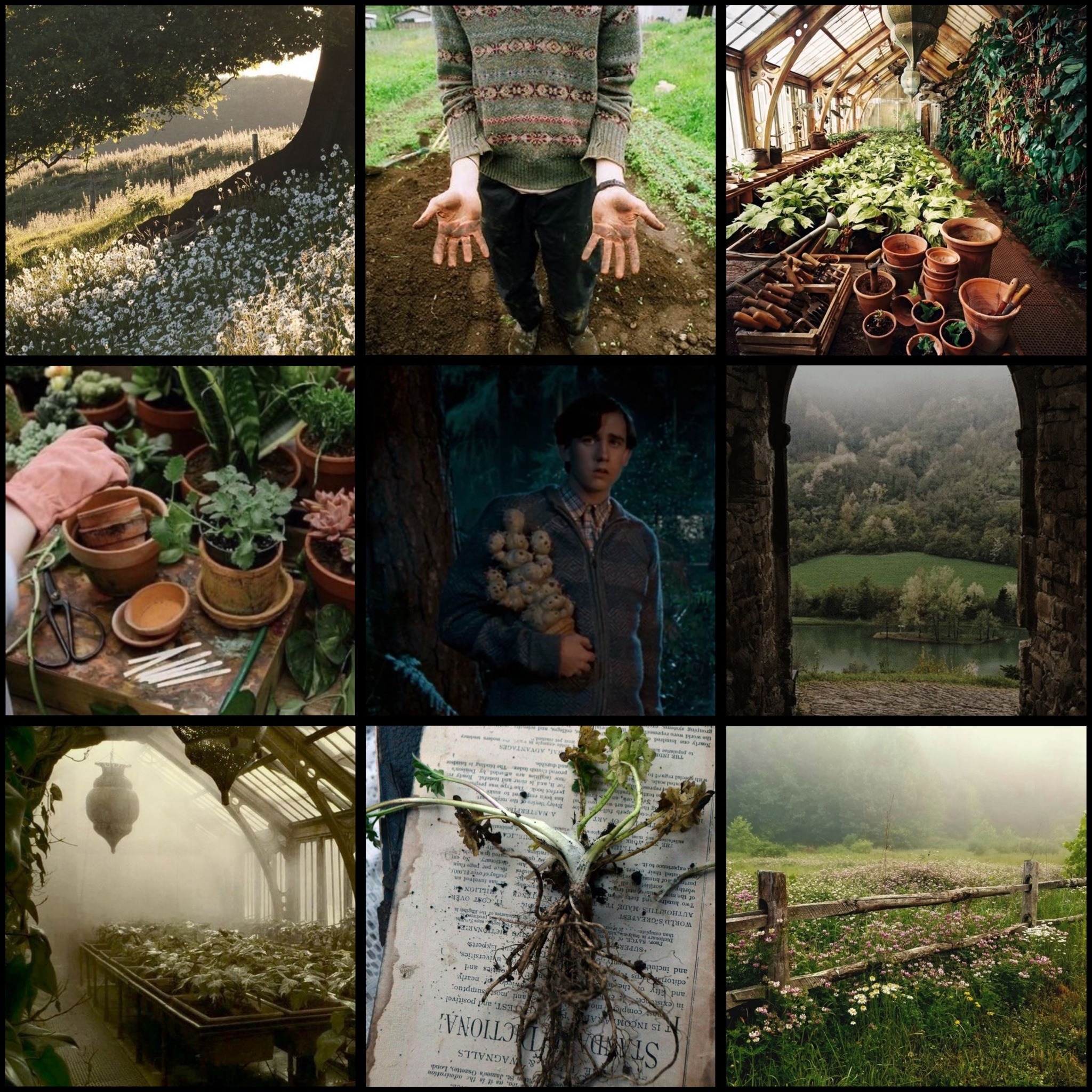 neville longbottom aesthetic on Tumblr