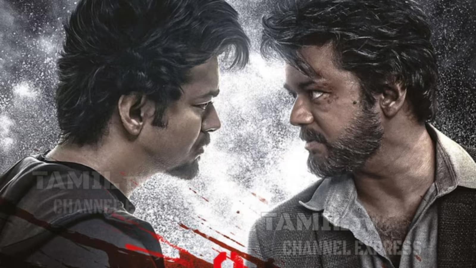 Thalapathy Vijay fans throng cinema