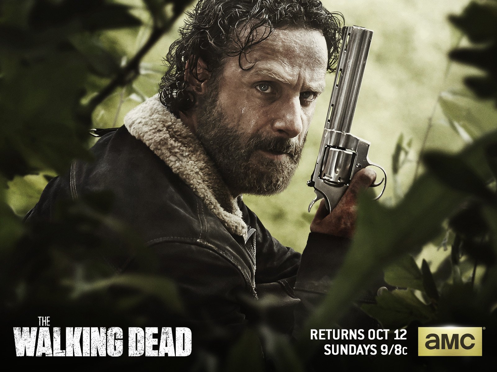 Rick Grimes in The Walking Dead