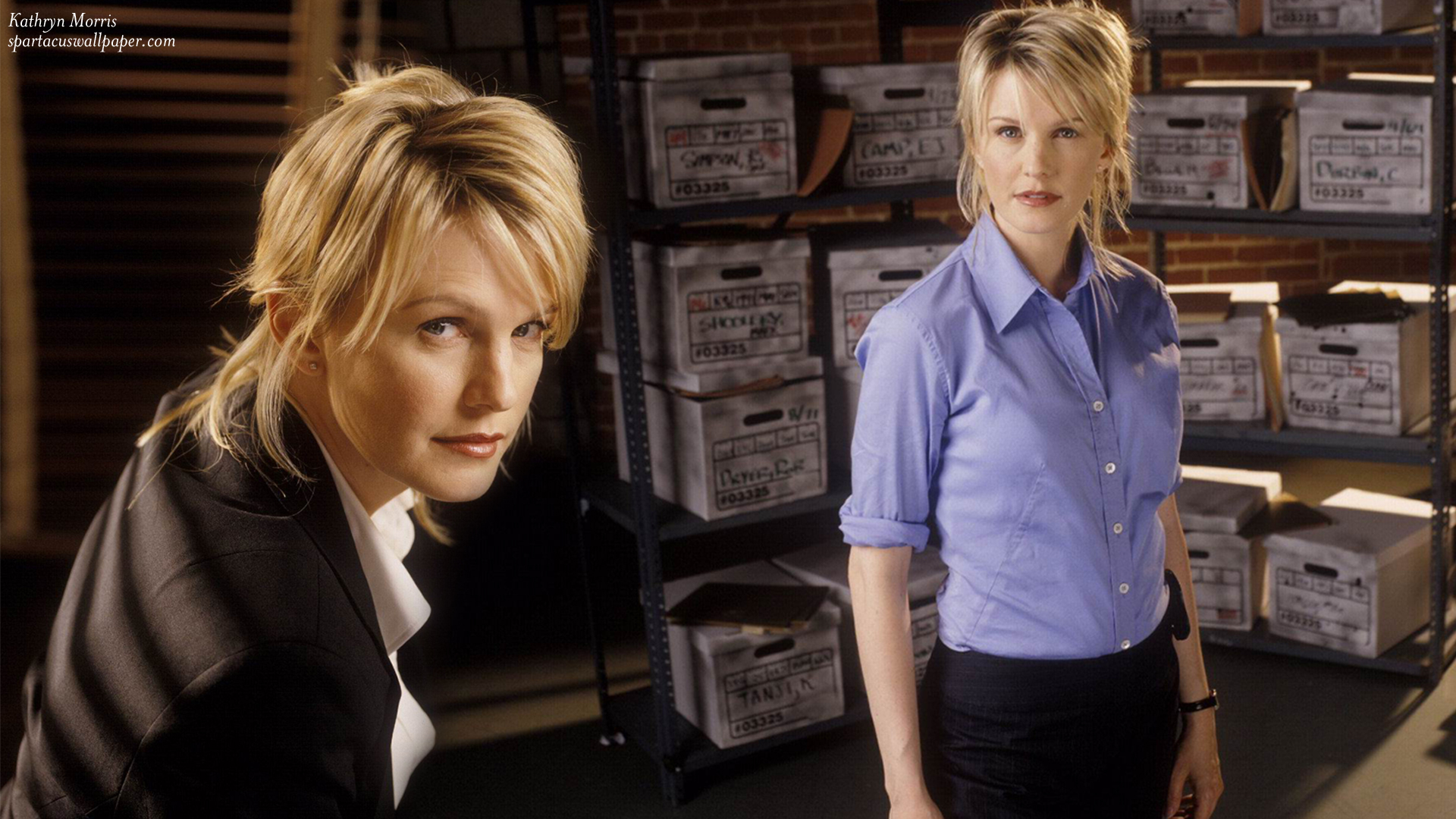 Kathryn Morris. Desktop Background