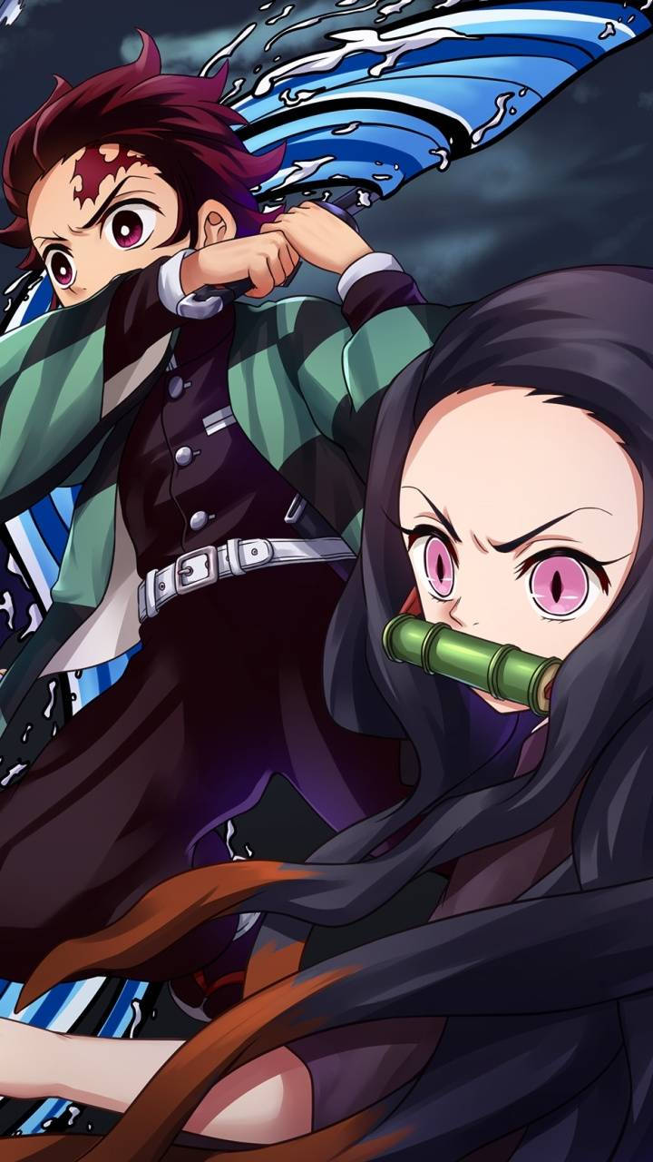 Download Tanjiro and Nezuko fight