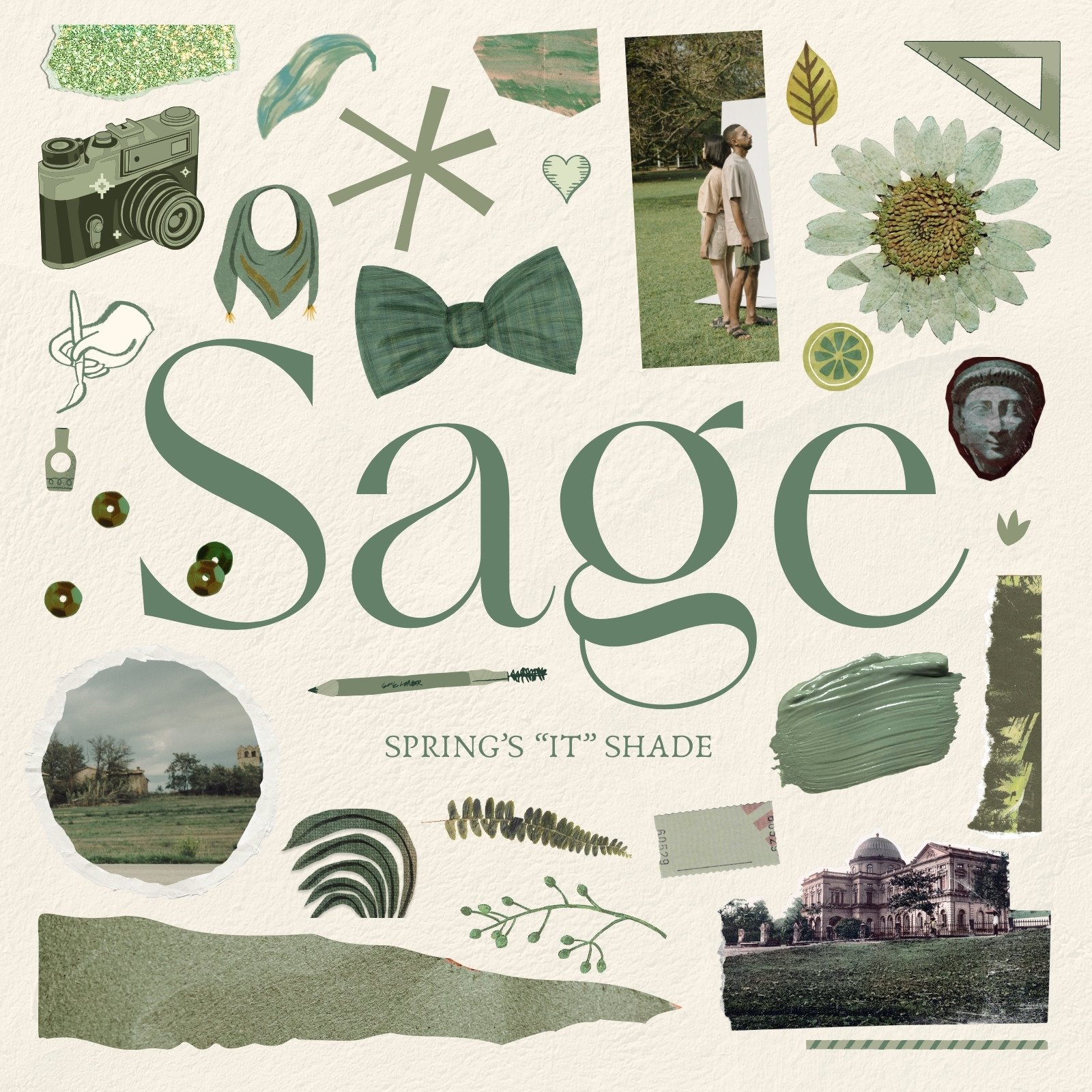 sage green wallpaper