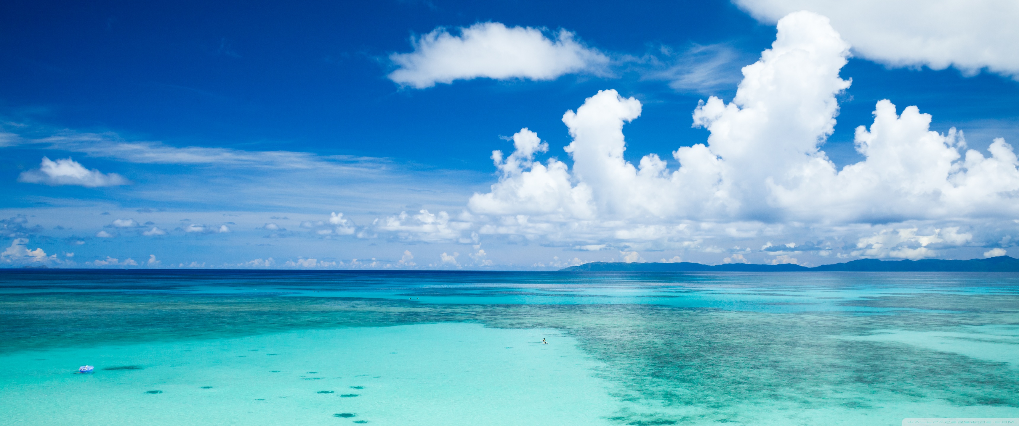 Tropical Beach Ultra HD Wallpaper