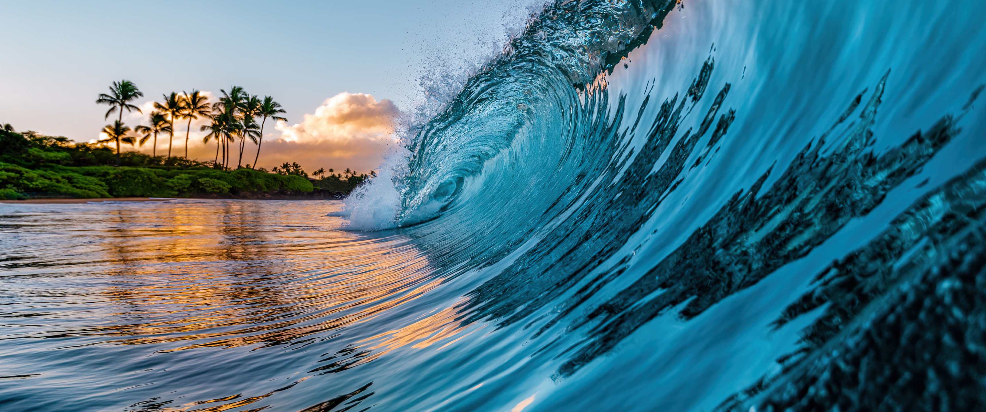 Ocean Waves Wallpaper 4K, Palm trees