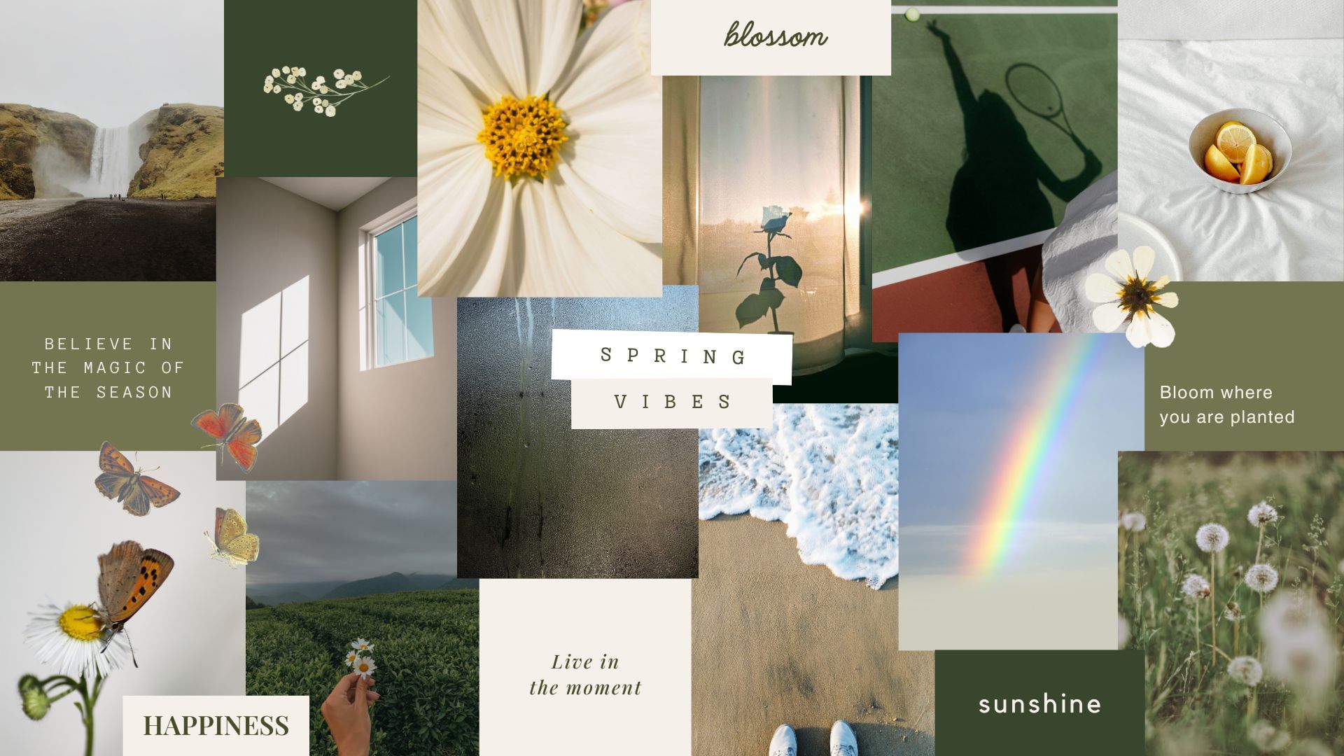Photo Collage Desktop Wallpaper