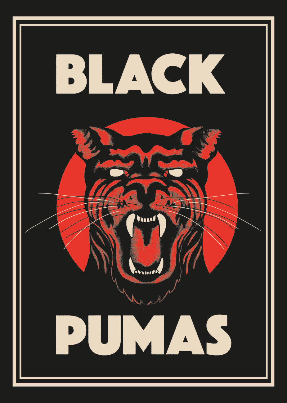 Black Pumas Poster Wall Mural. Buy