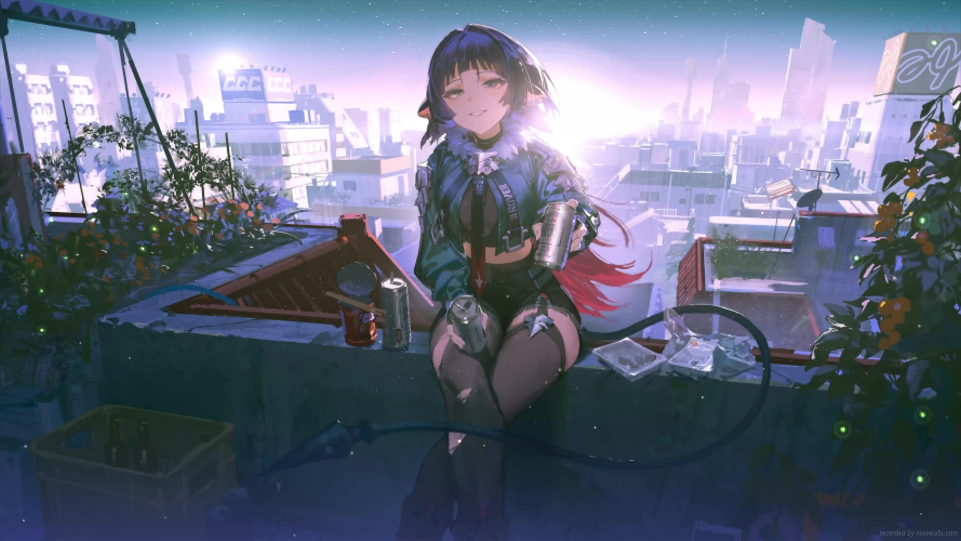 Jane Doe Zenless Zone Zero Live