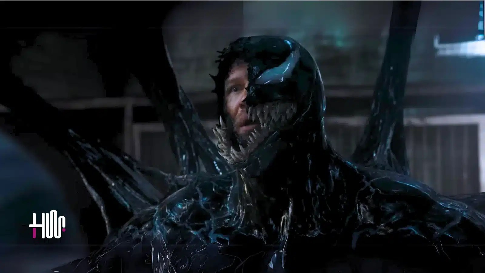 Venom 3: The Last Dance, Release