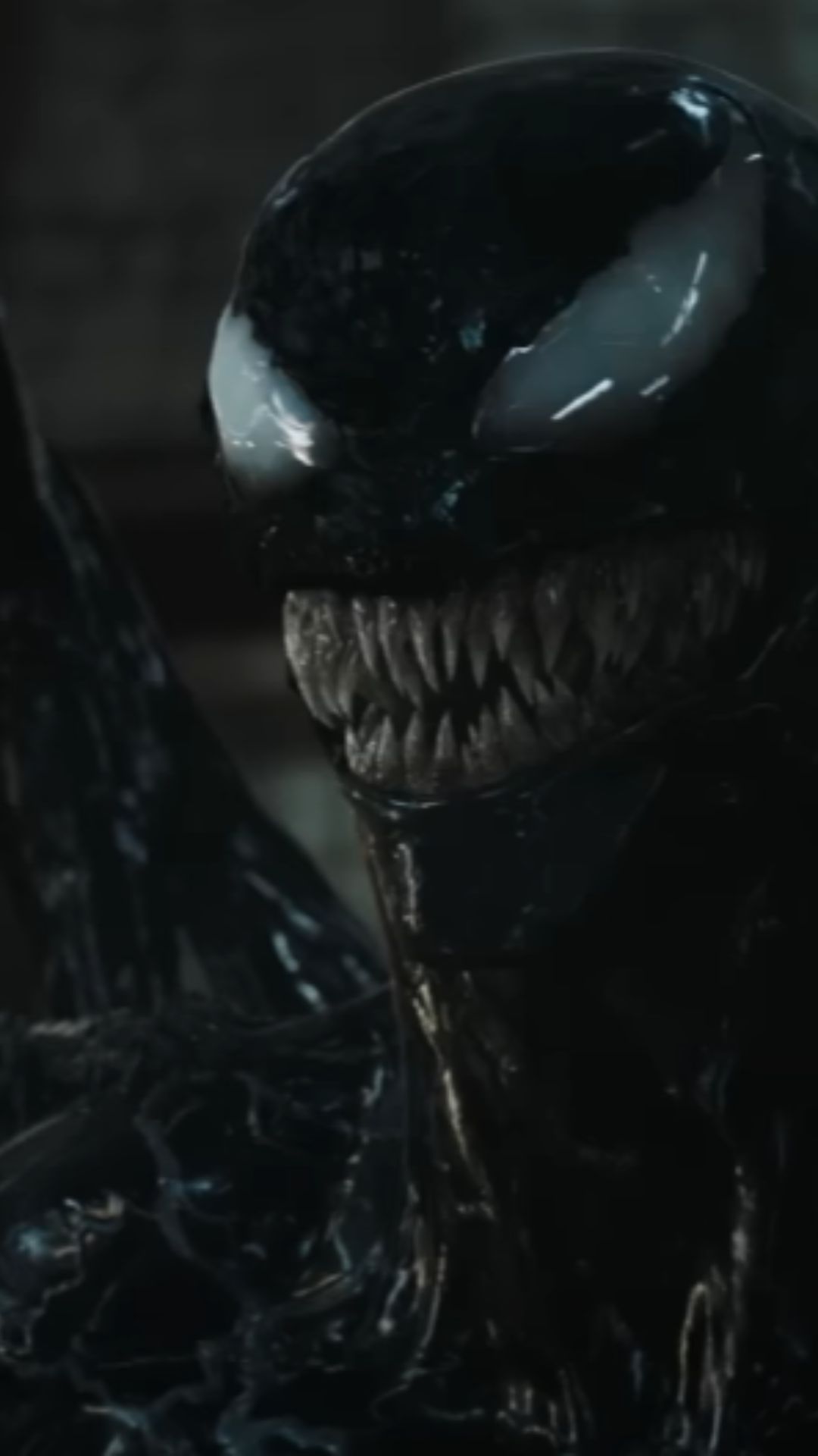 The Last Dance Final Film Cast Revealed