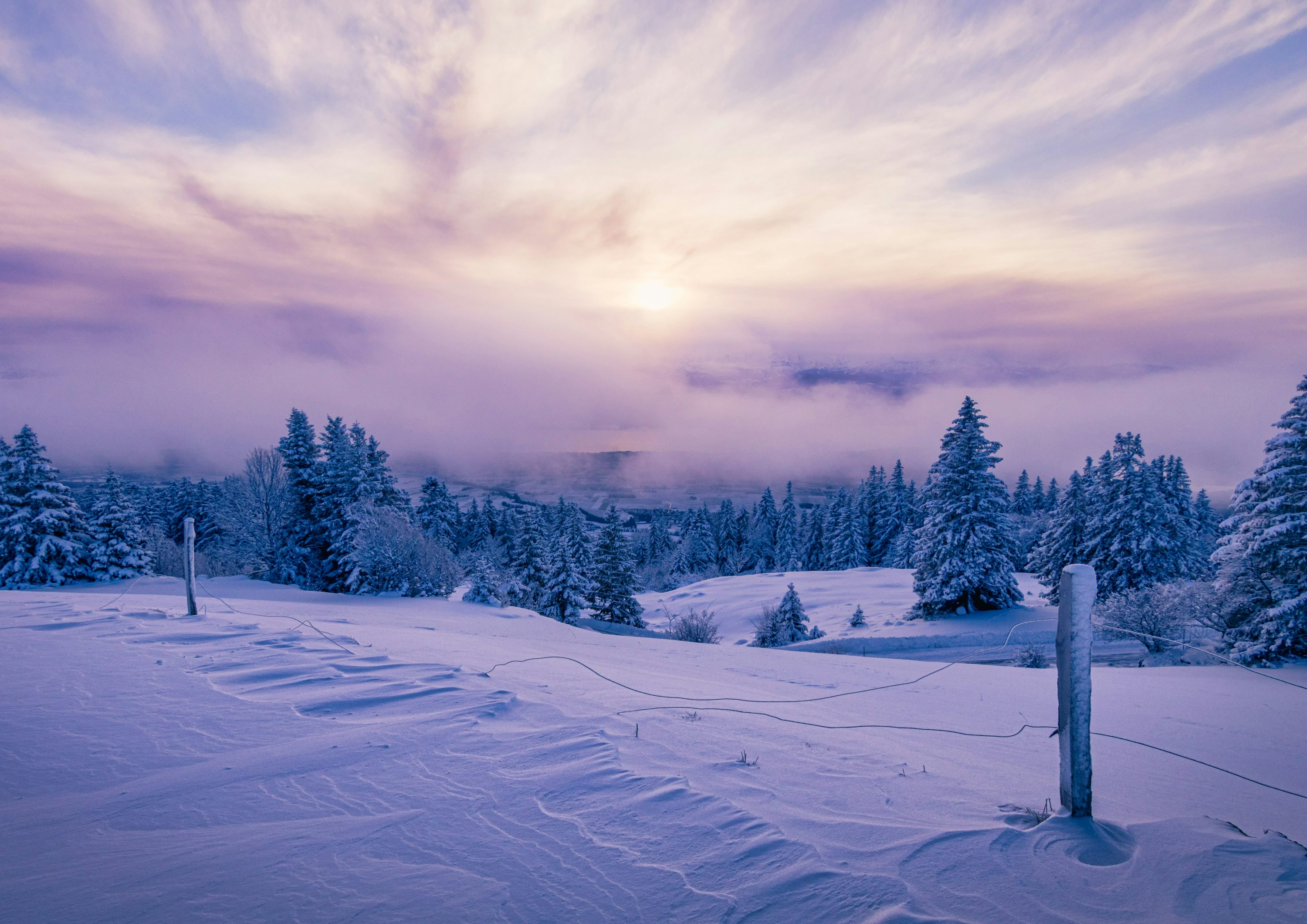 A snowy landscape with trees and clouds