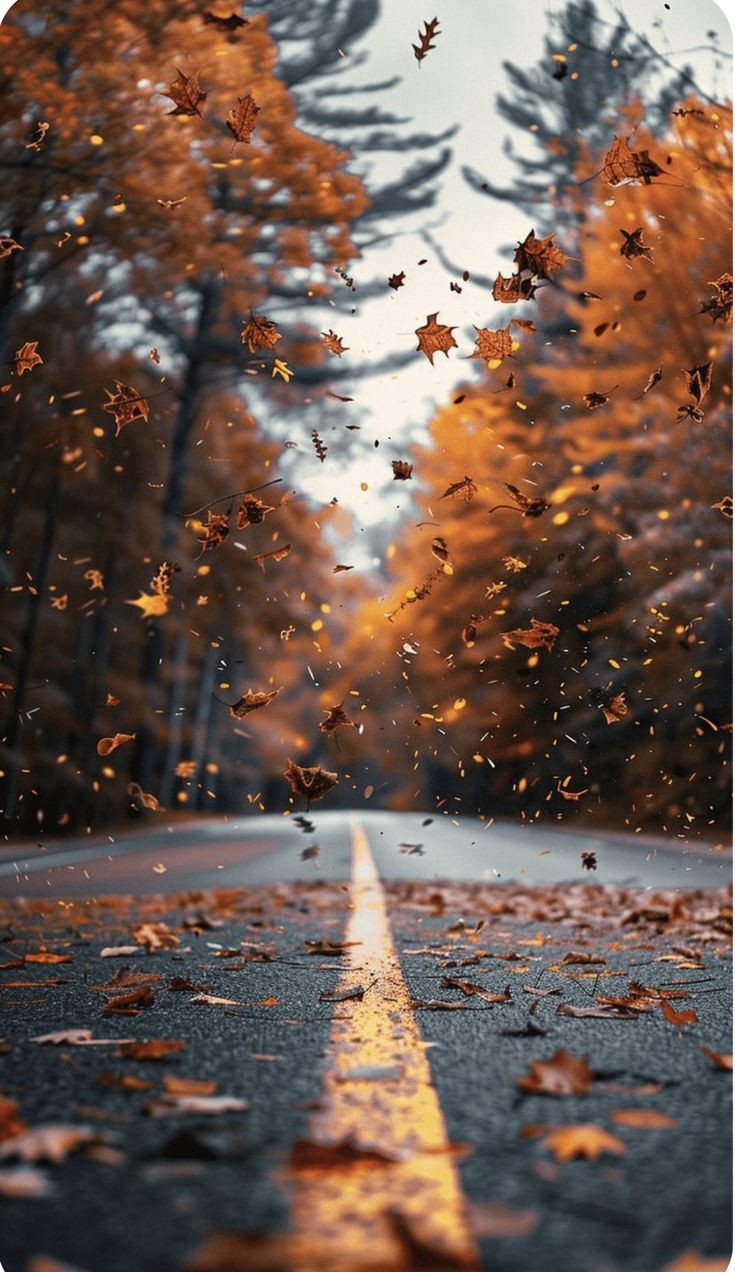 Sharing some mobile wallpaper