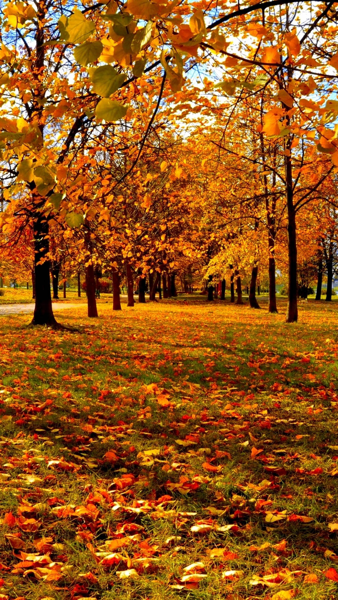 Fall Wallpaper