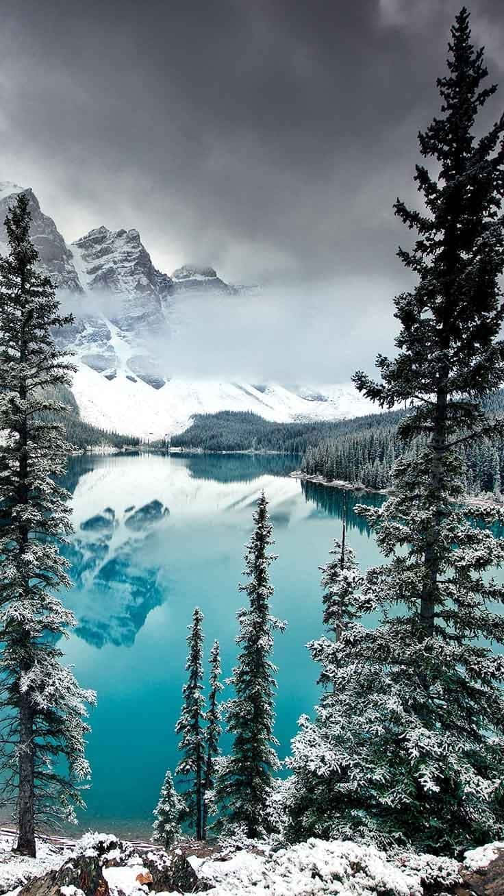 Download Enjoy the beauty of nature with this stunning winter image Wallpaper