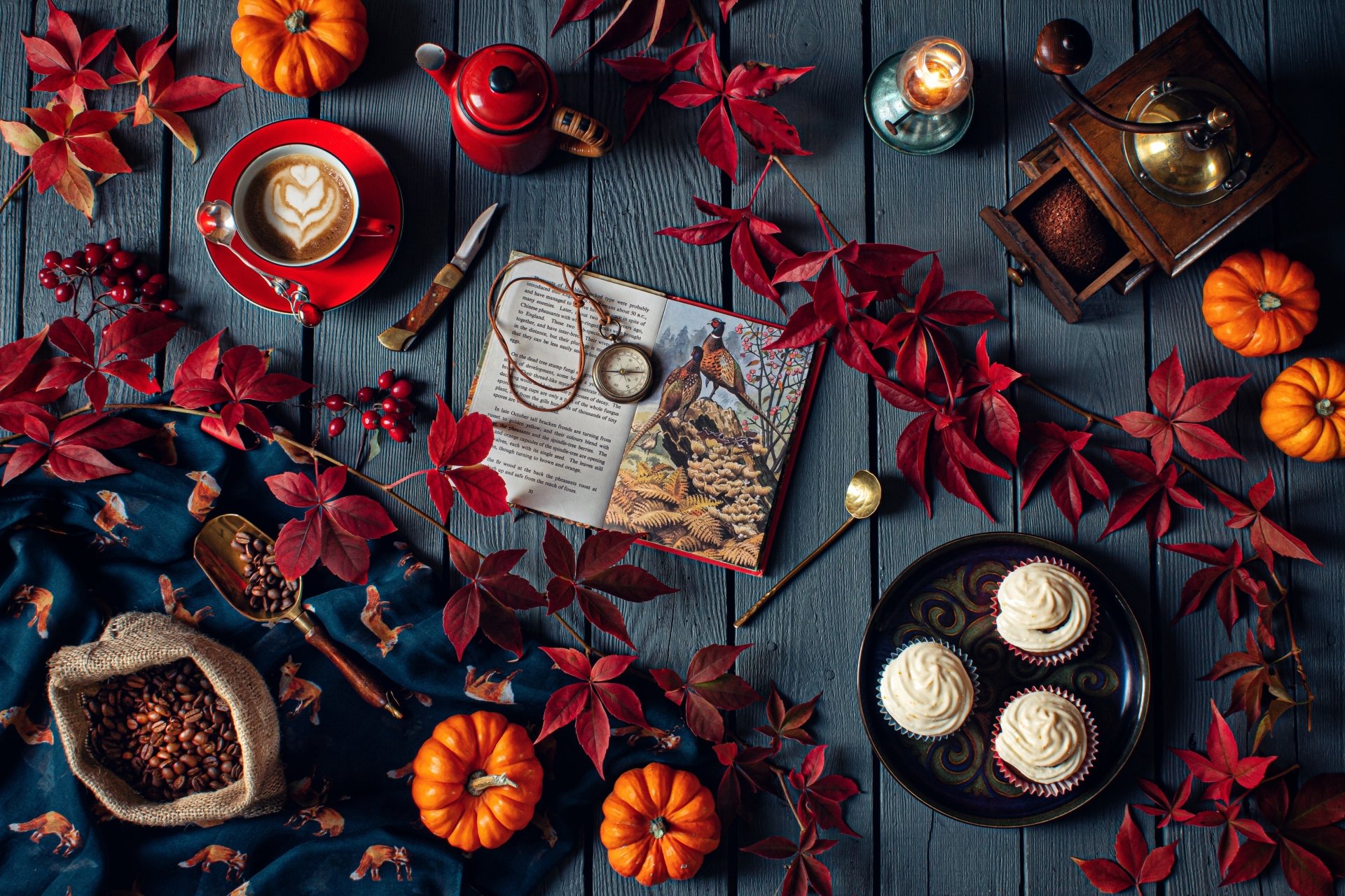 Autumn Coffee Moments: Pumpkin, Berries & Books in 4K Ultra HD Still Life