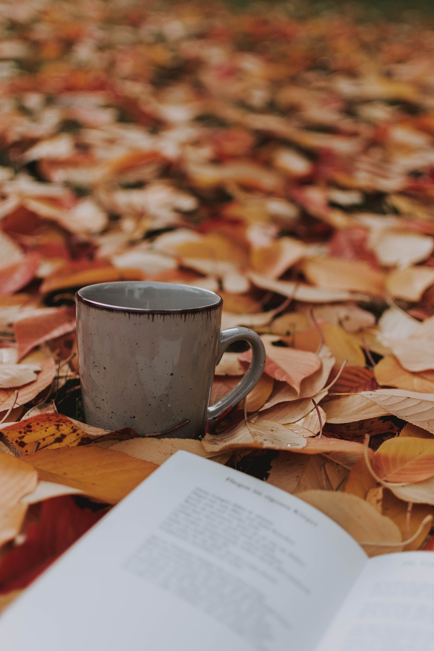 Fall Leaves A Book